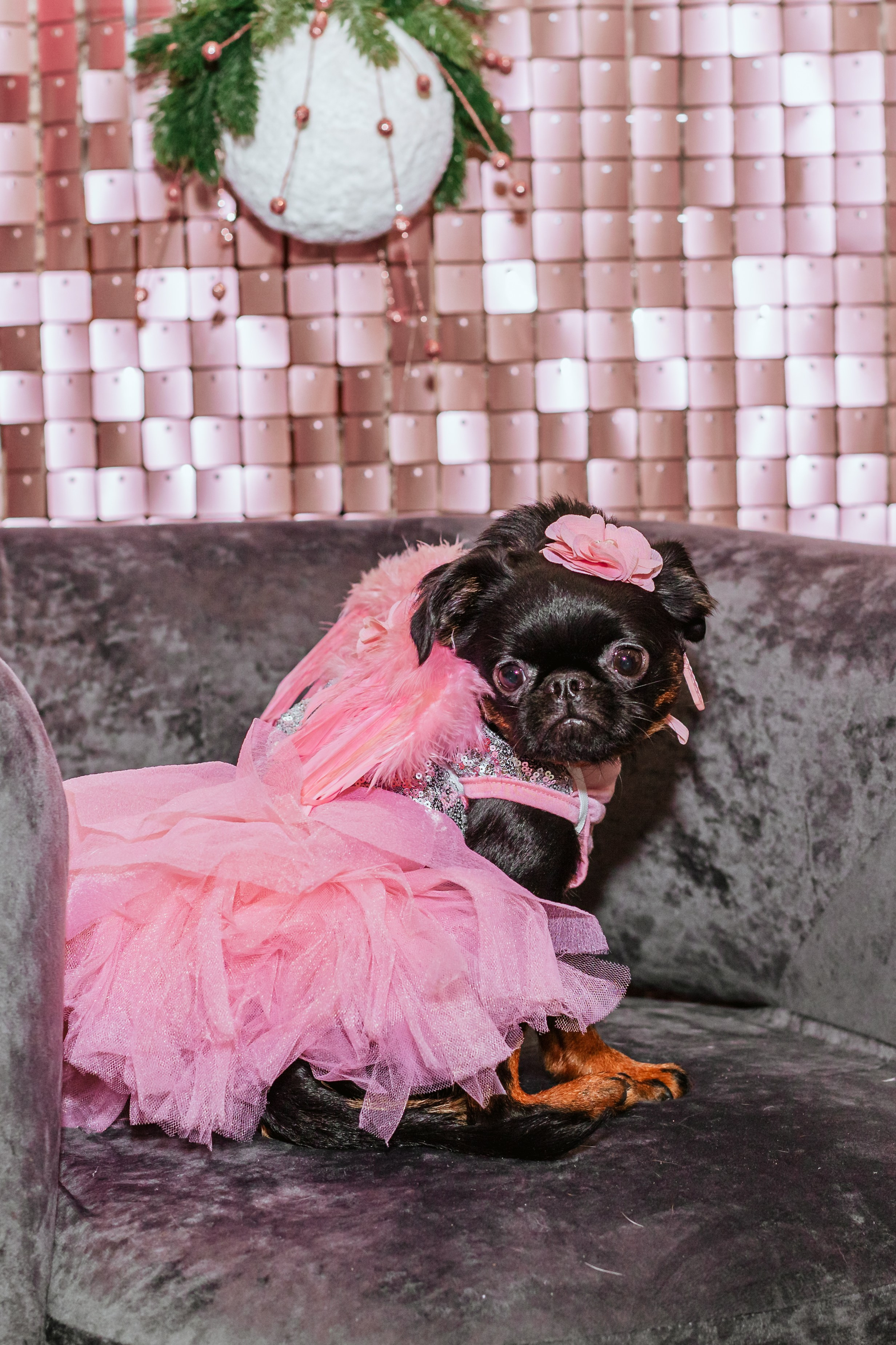 Бульёлка 2024. Фотограф-анималист Татьяна Степанова