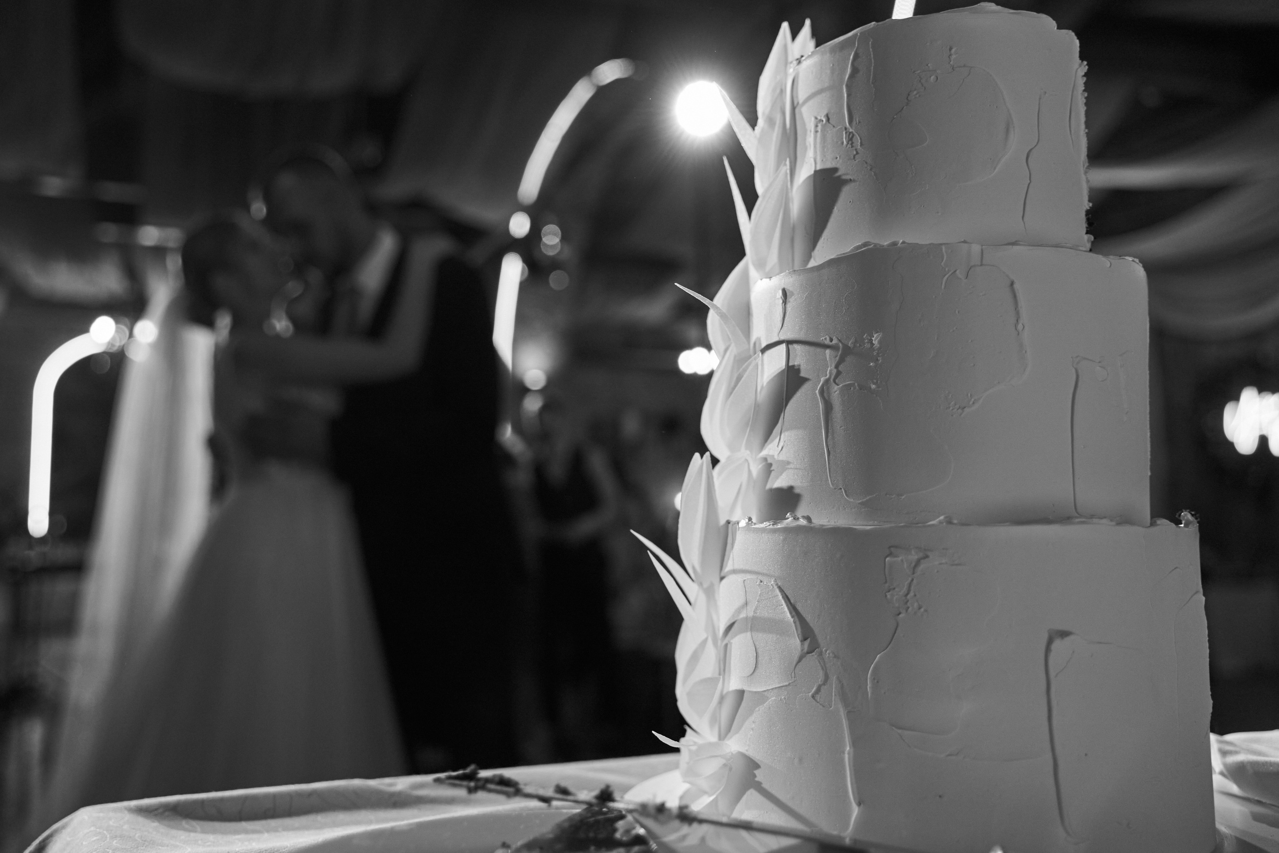 Свадебный и Репортажный фотограф в Санкт-Петербурге Дмитрий Бирцев