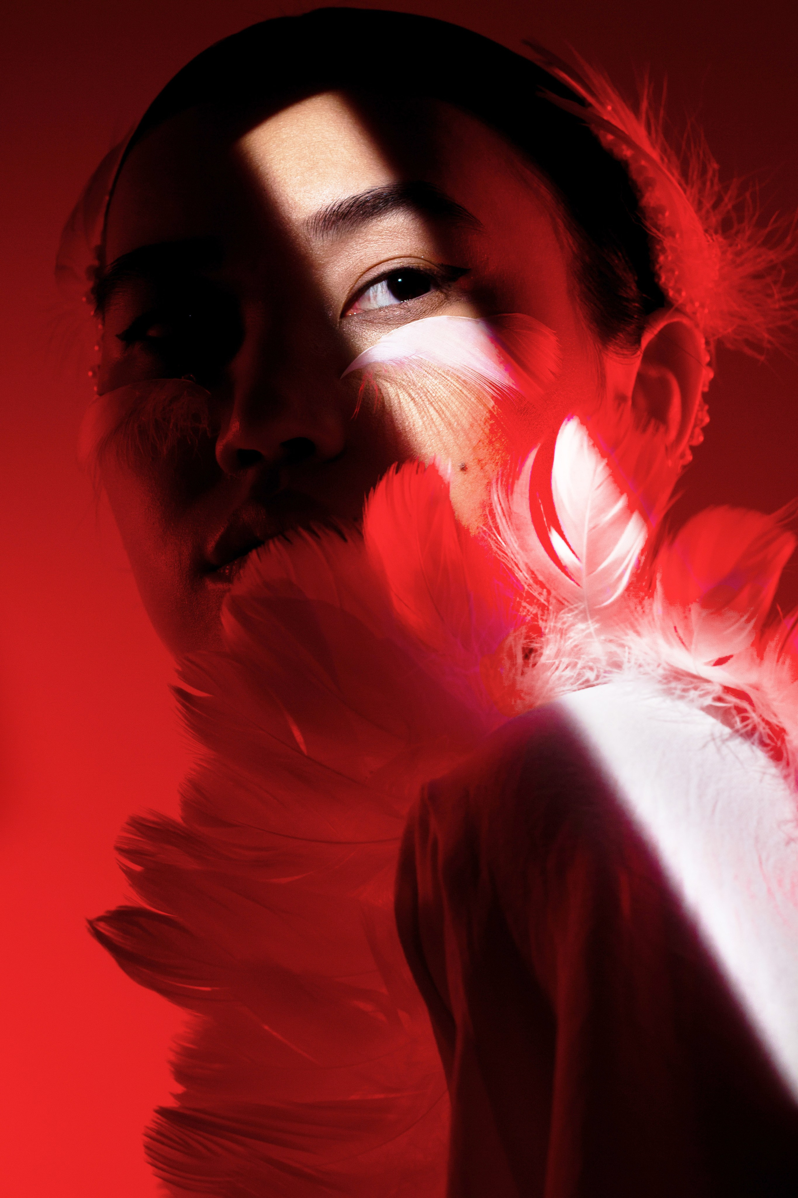 Black swan. Oyallu.ru