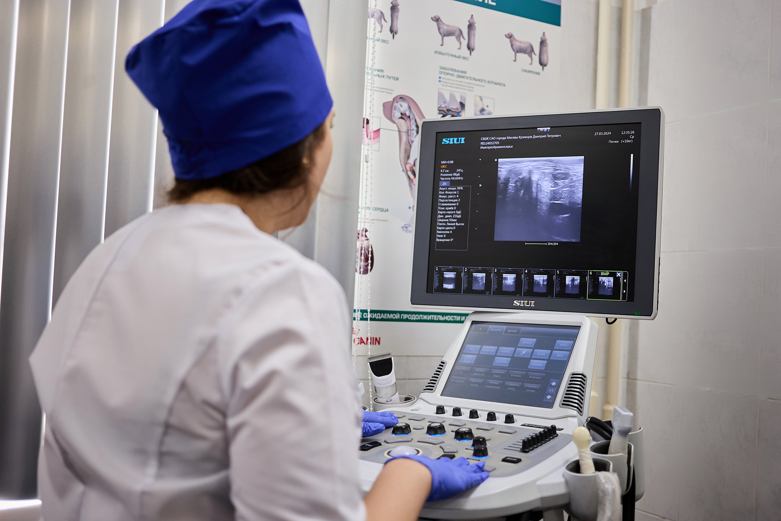 Контент для ветеринарного лендинга правительства Москвы. Фотограф и Видеограф в Москве. Олег Корушев