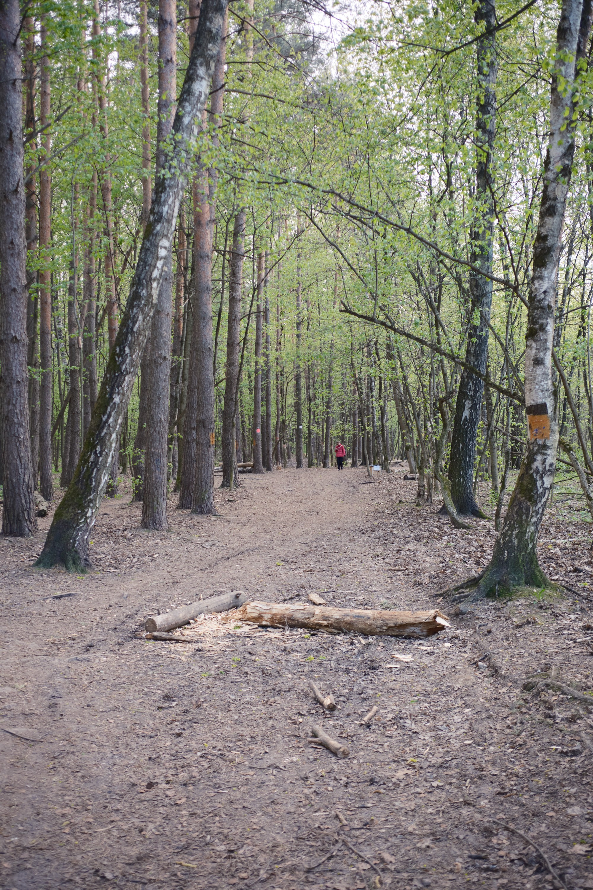 Парк Синичка | Красногорск. Фотографъ Сергѣевъ. Поймать мгновеніе