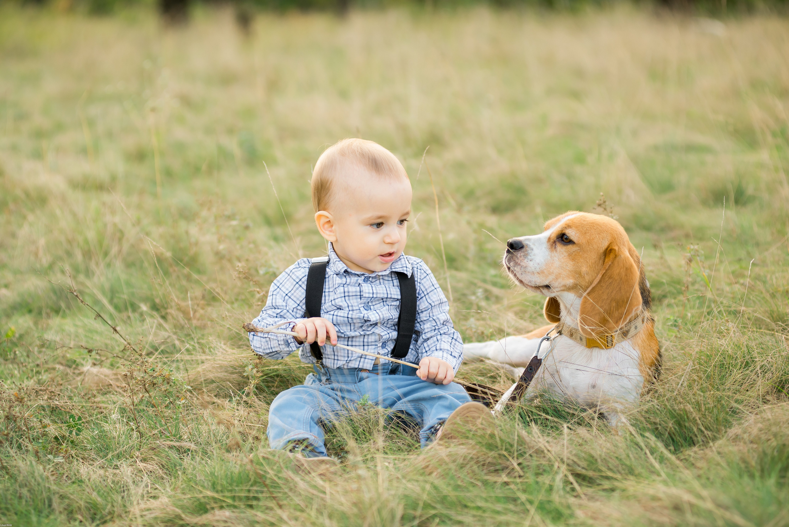 Саша, Наташа и маленький Савва. Свадебный фотограф в Рязани Вагнер Владимир