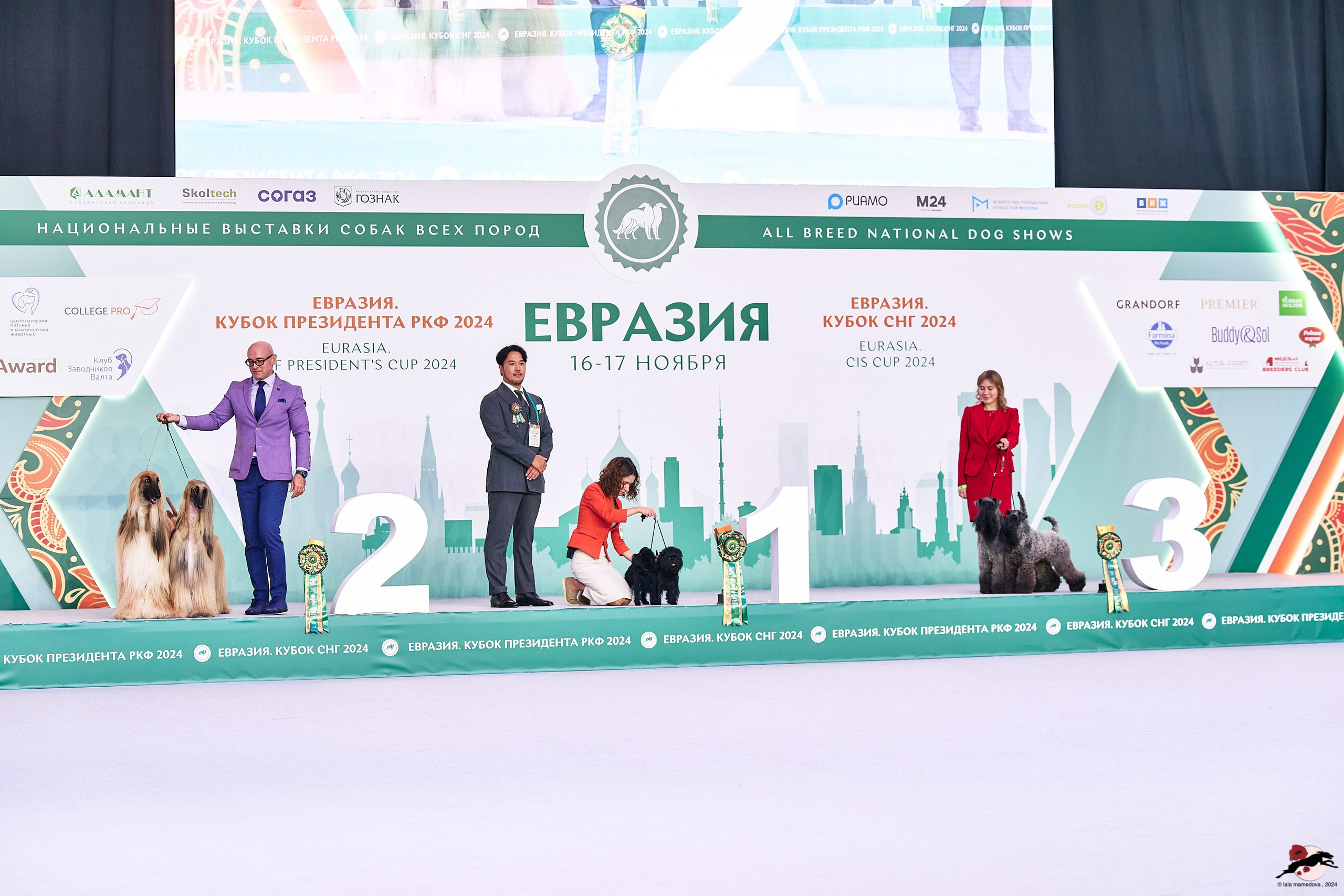 16.11.2024 «ЕВРАЗИЯ. КУБОК ПРЕЗИДЕНТА РКФ 2024»