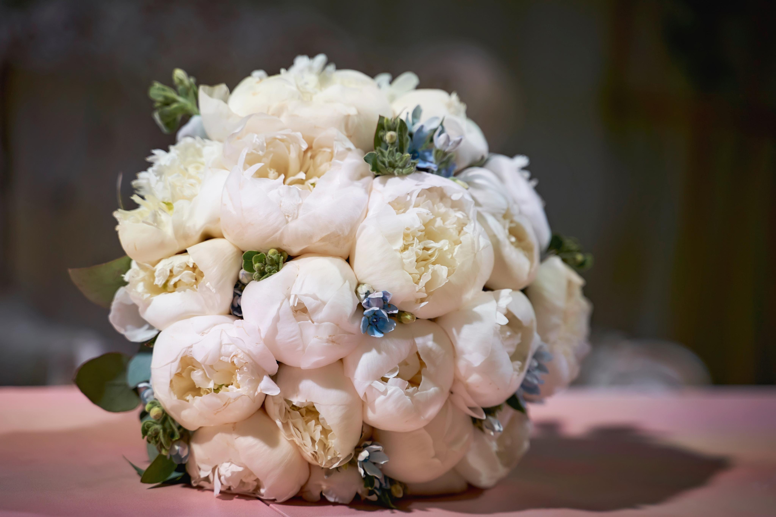 Чемпион Европы по борьбе и она скромная и умеющая бить двоечку!. ТВИНС СТУДИО — лучшие свадебные фотографы и видеографы в Краснодаре