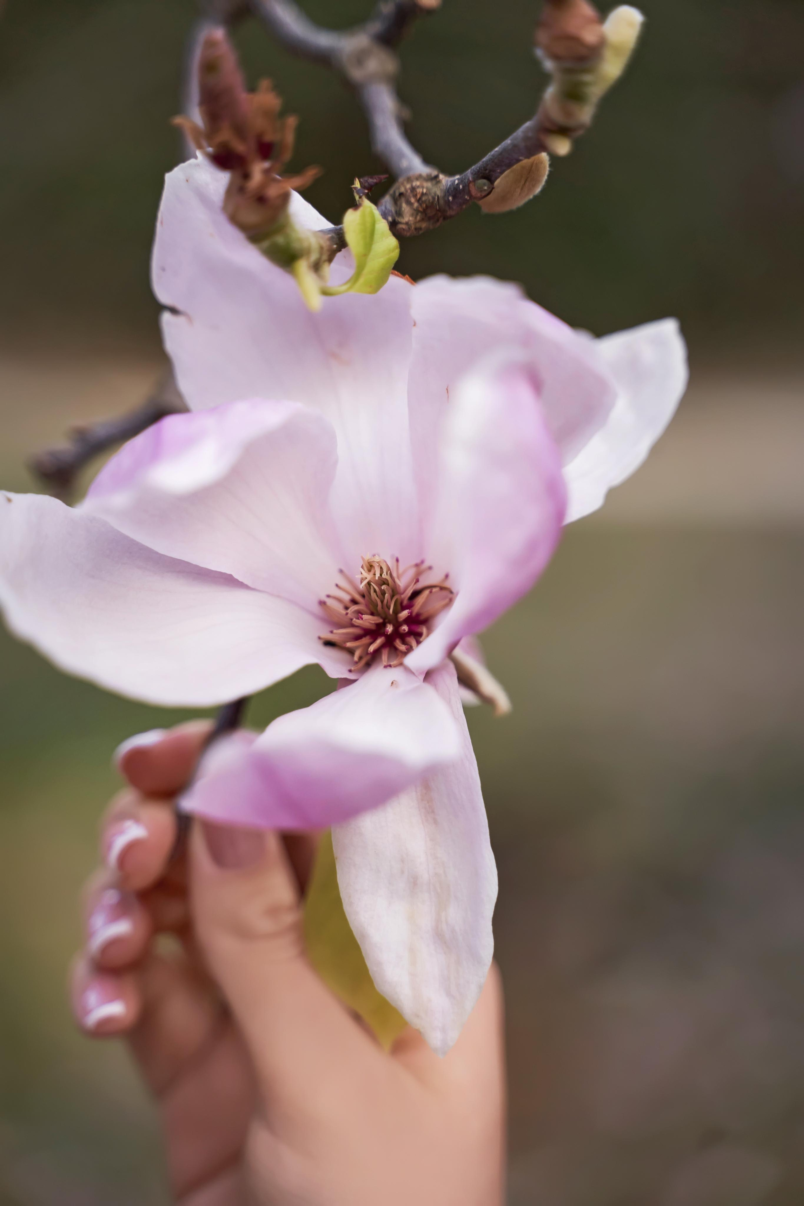 Love Story Красная Поляна. ТВИНС СТУДИО — лучшие свадебные фотографы и видеографы в Краснодаре