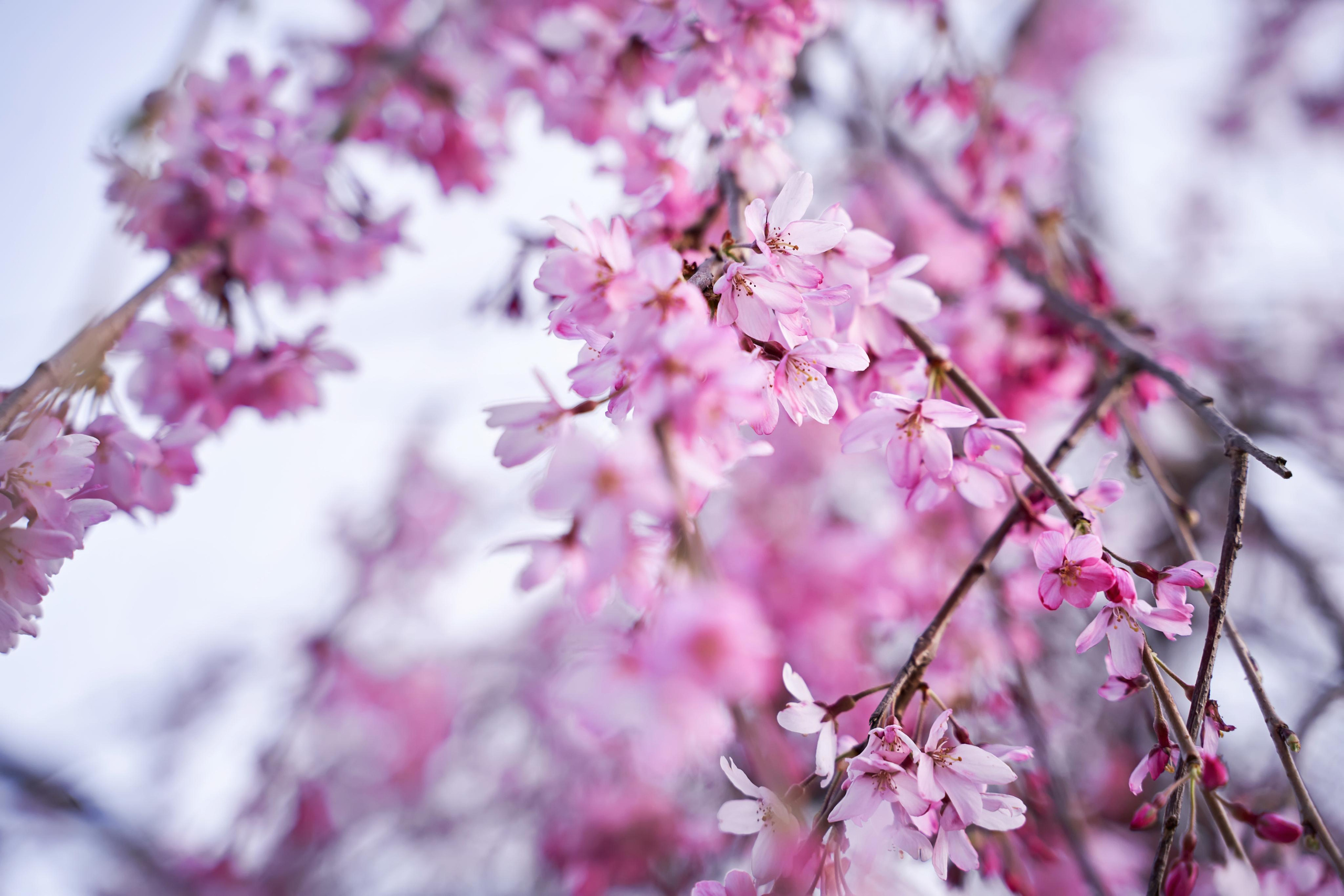 Love Story Красная Поляна. ТВИНС СТУДИО — лучшие свадебные фотографы и видеографы в Краснодаре