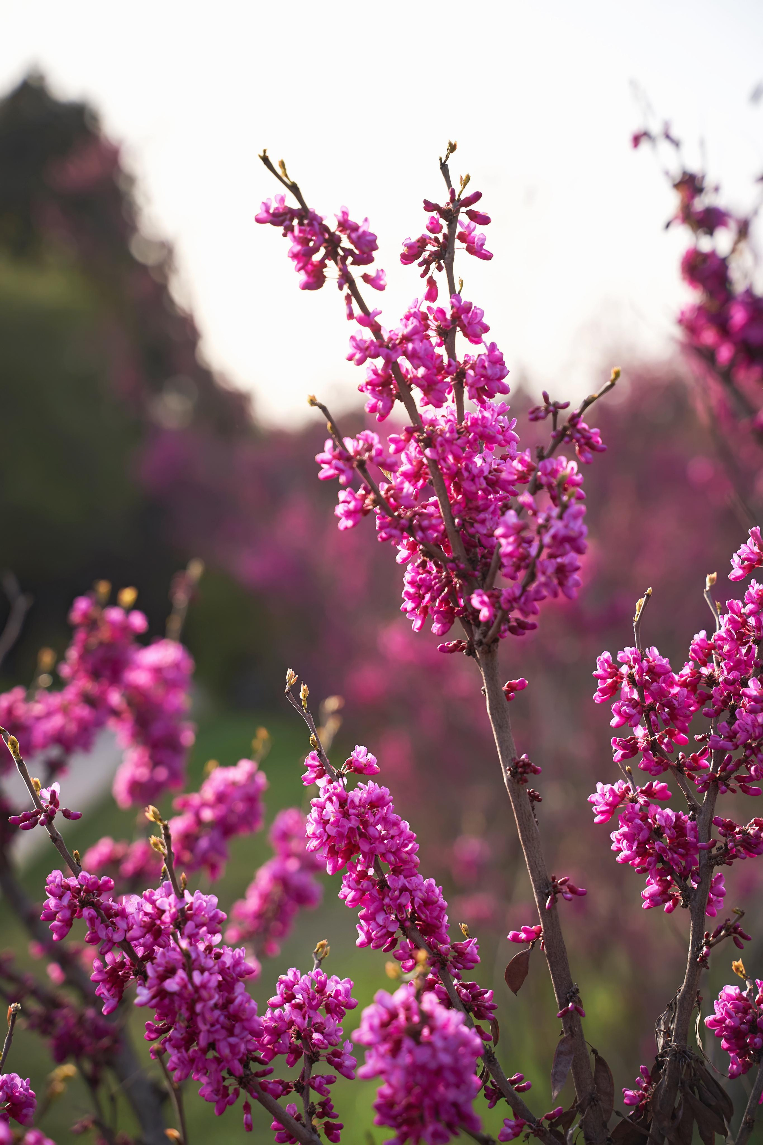 Love Story Красная Поляна. ТВИНС СТУДИО — лучшие свадебные фотографы и видеографы в Краснодаре