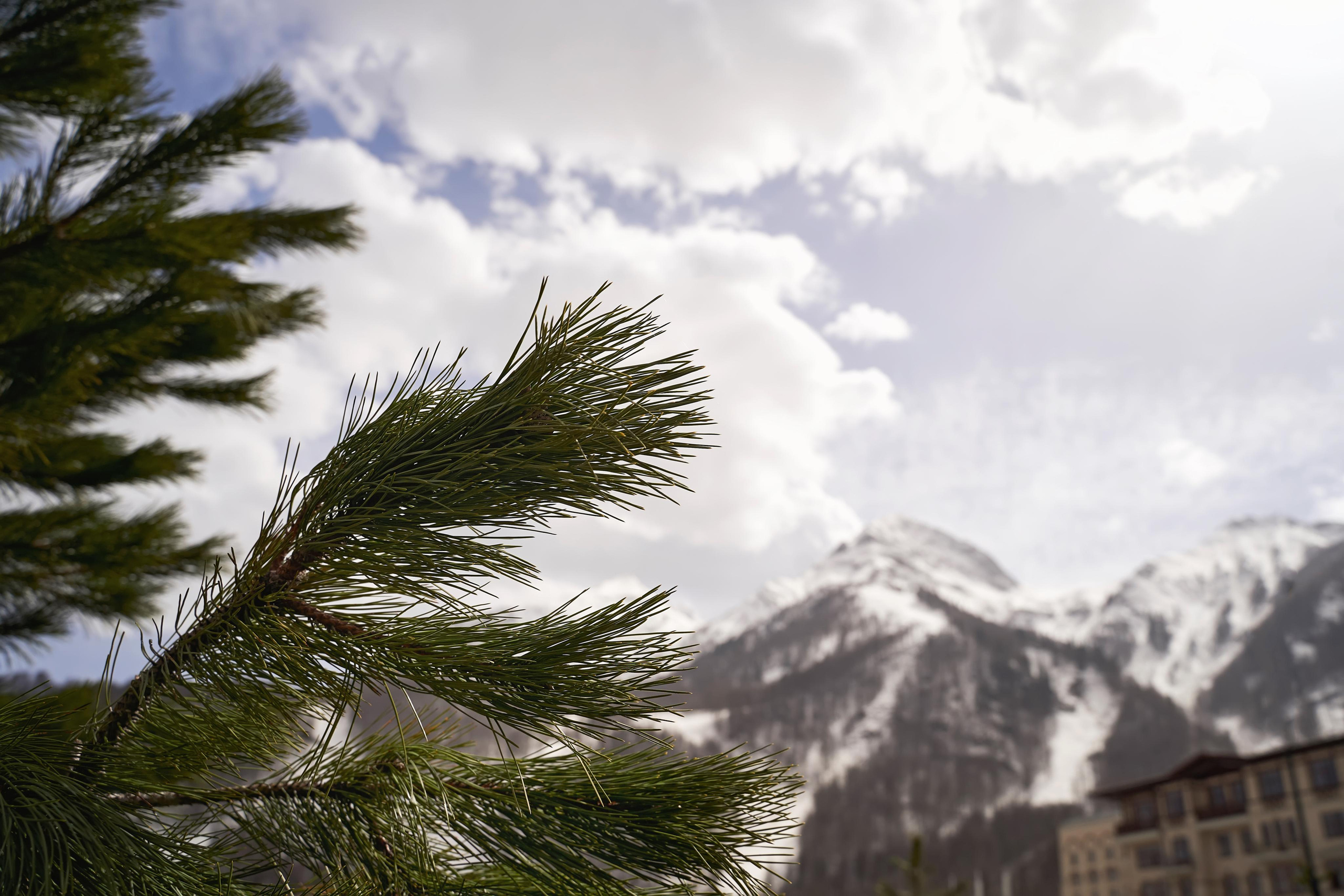 Love Story Красная Поляна. ТВИНС СТУДИО — лучшие свадебные фотографы и видеографы в Краснодаре