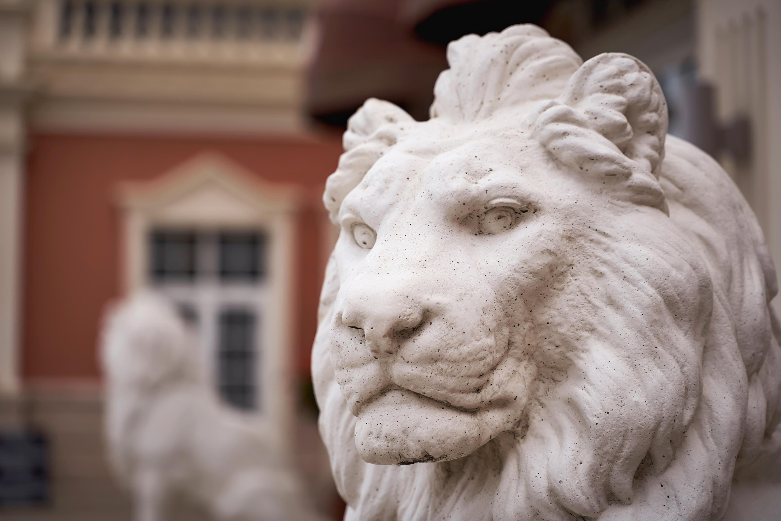 I just love you. Европа, Комо, Италия. Свадьба от TWINS STUDIO DIADEMA. ТВИНС СТУДИО — лучшие свадебные фотографы и видеографы в Краснодаре