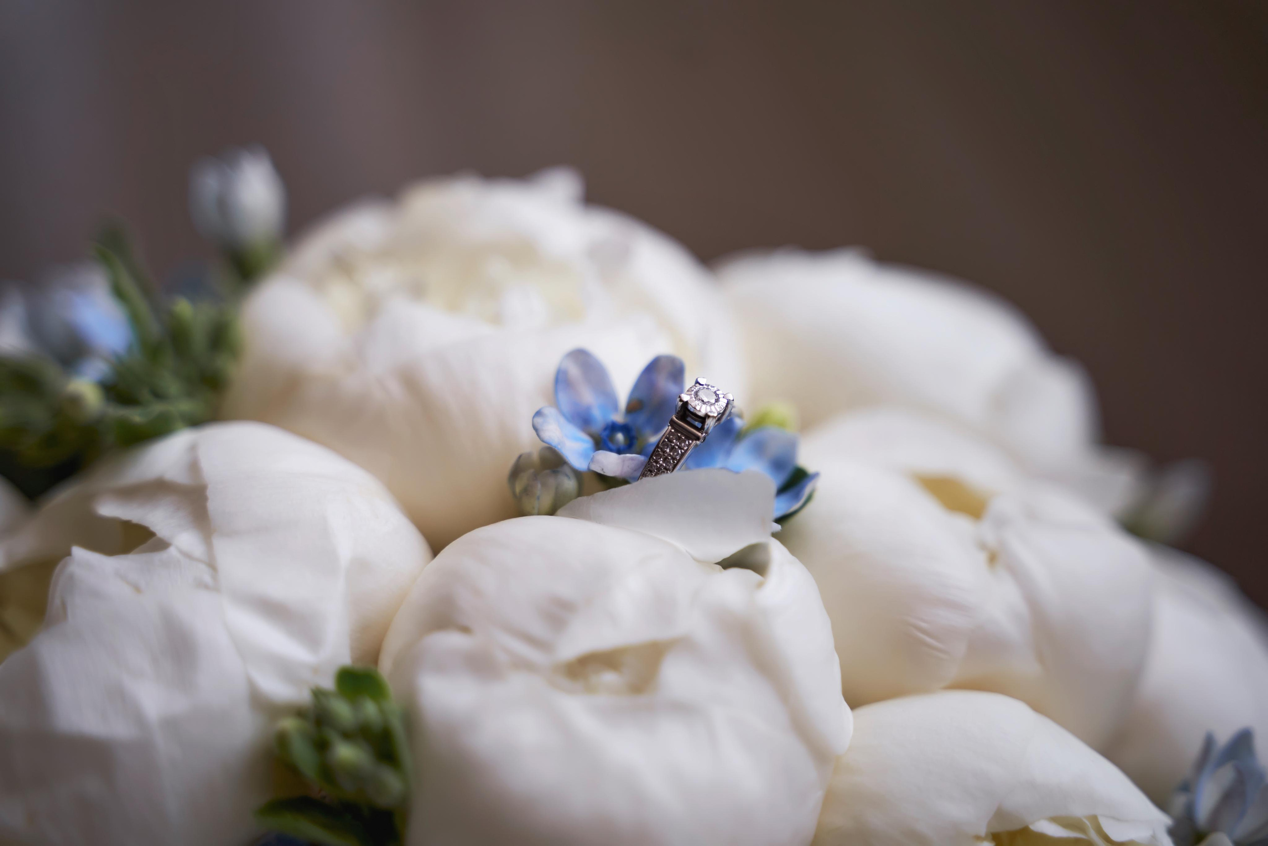 Чемпион Европы по борьбе и она скромная и умеющая бить двоечку!. ТВИНС СТУДИО — лучшие свадебные фотографы и видеографы в Краснодаре