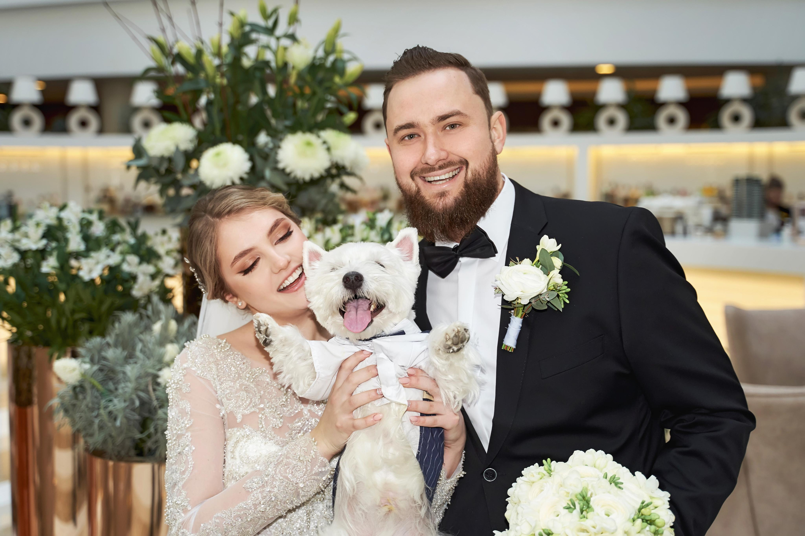 ТВИНС СТУДИО — лучшие свадебные фотографы и видеографы в Краснодаре