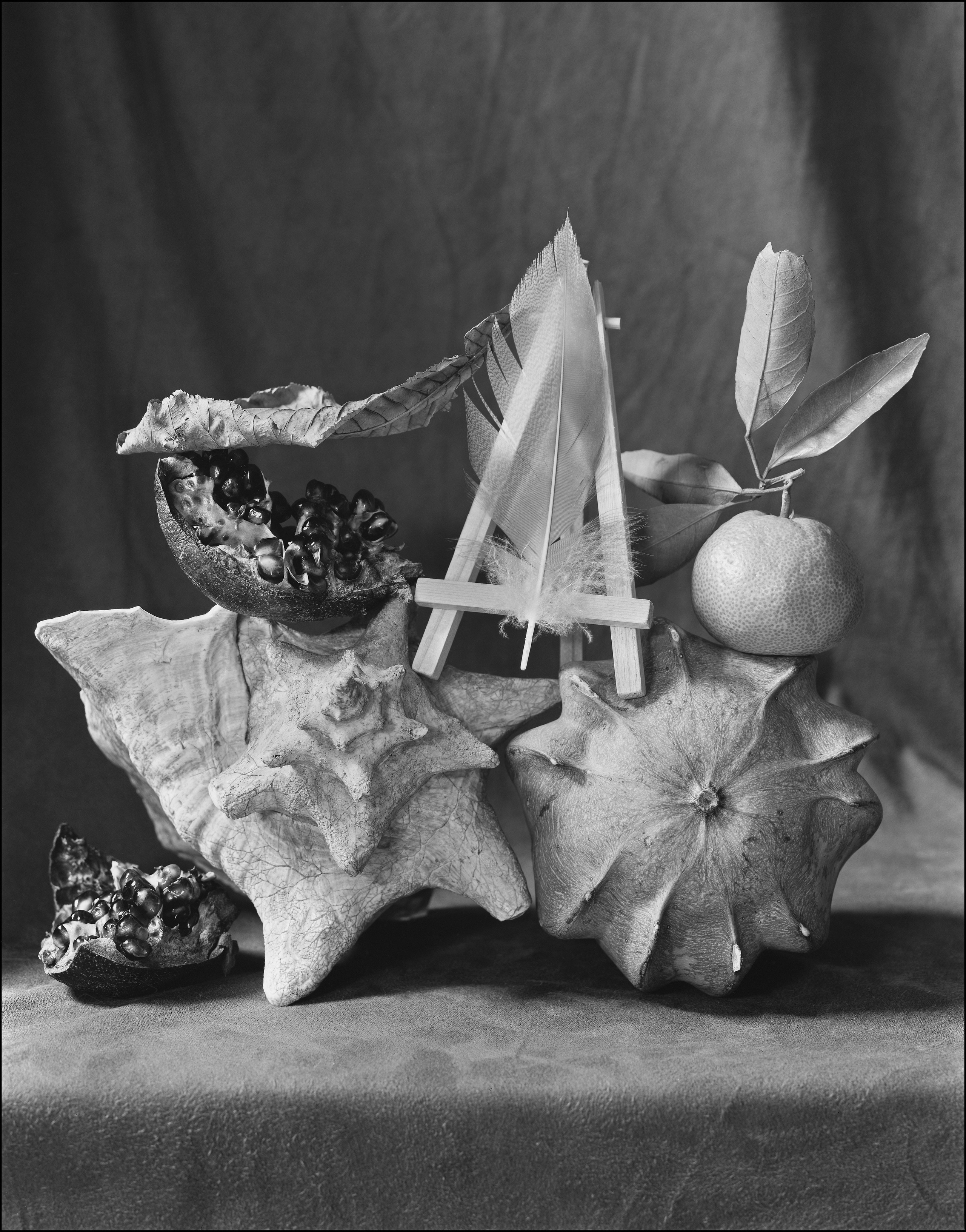 Натюрморт. Кондрюк Сергей фотограф |художник