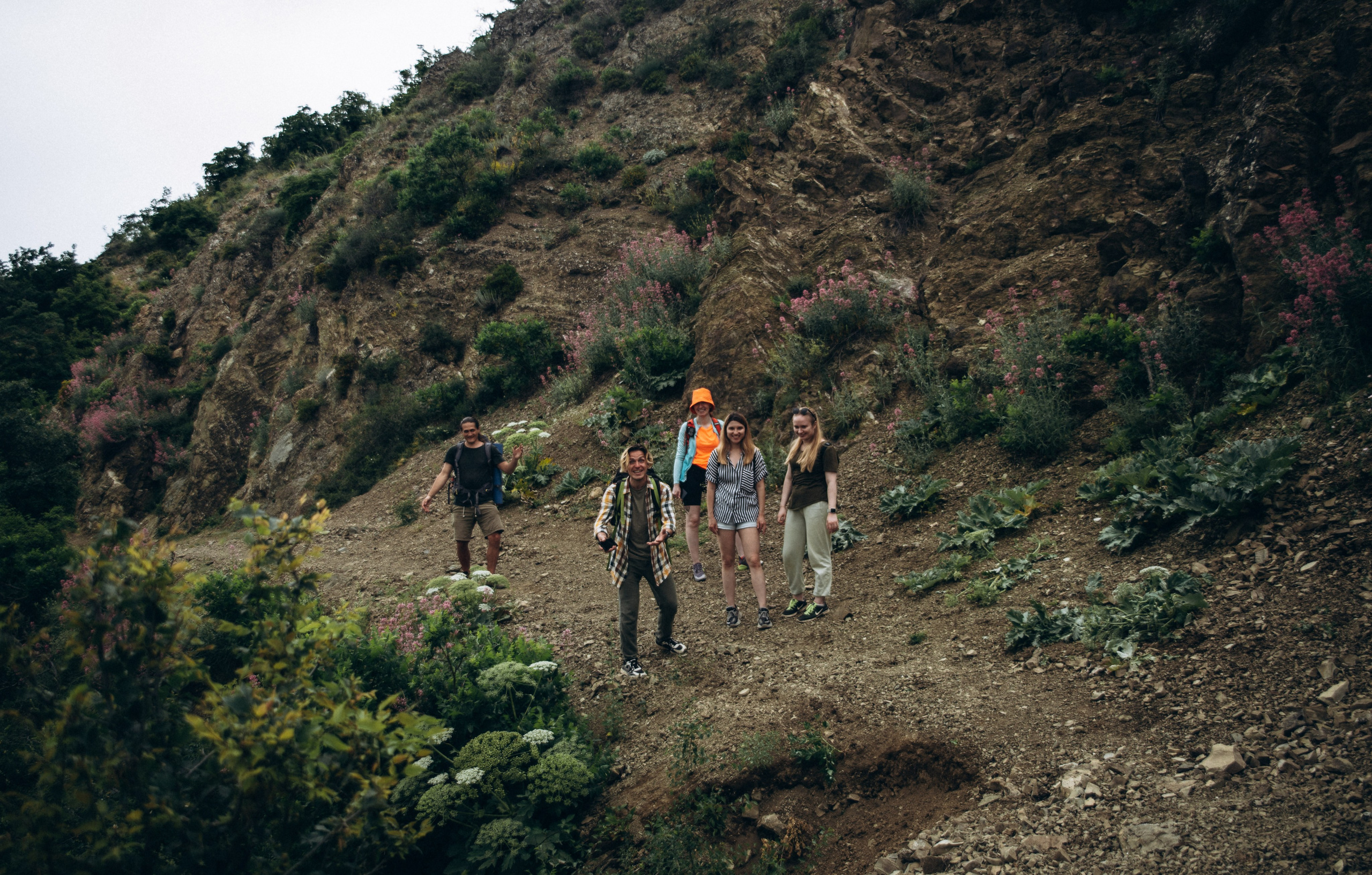 Коджори, Грузия 🇬🇪 «Honey Trip». Anita_photo