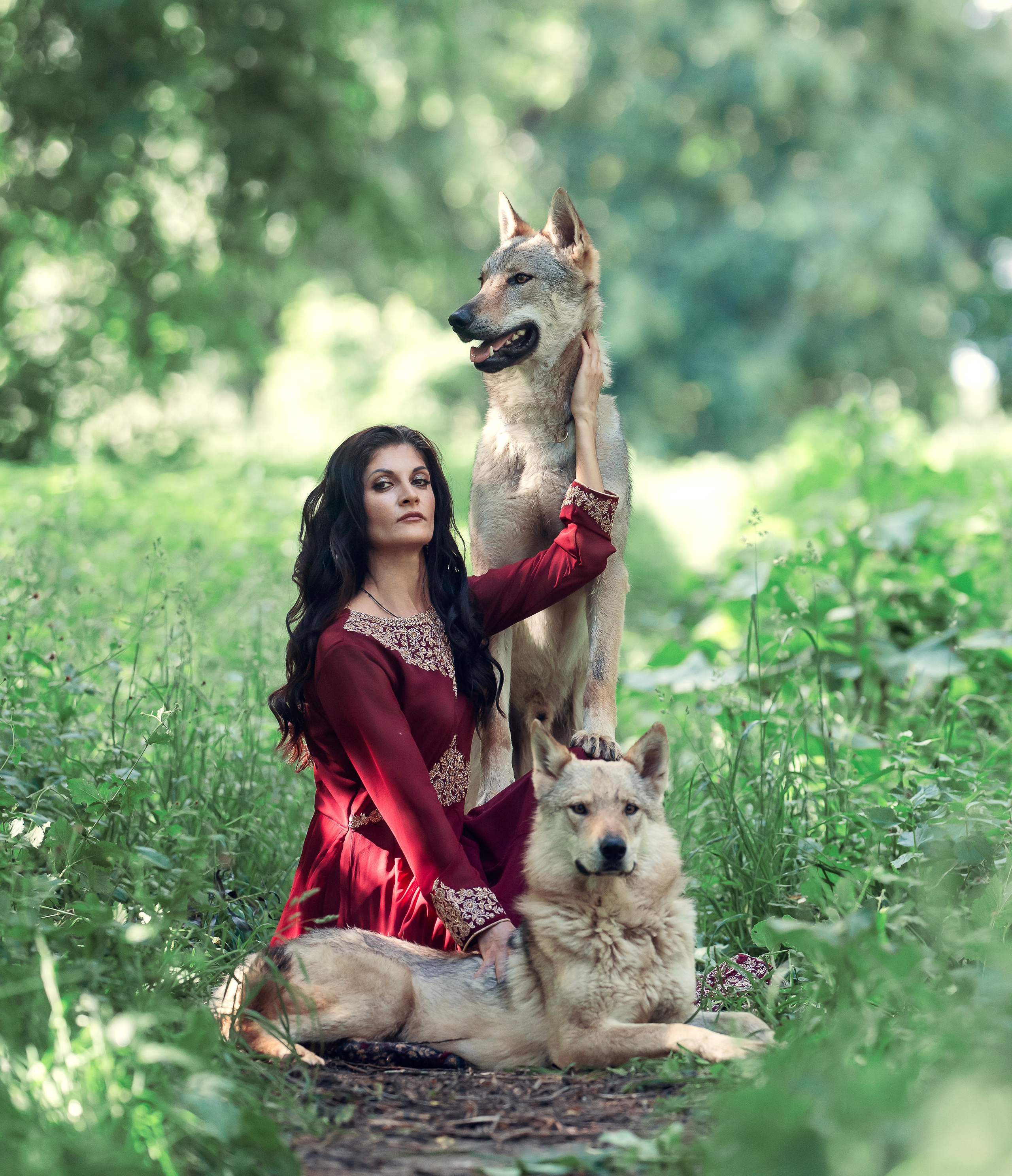 Волки. Профессиональный фотограф в Москве Марина Григорьева