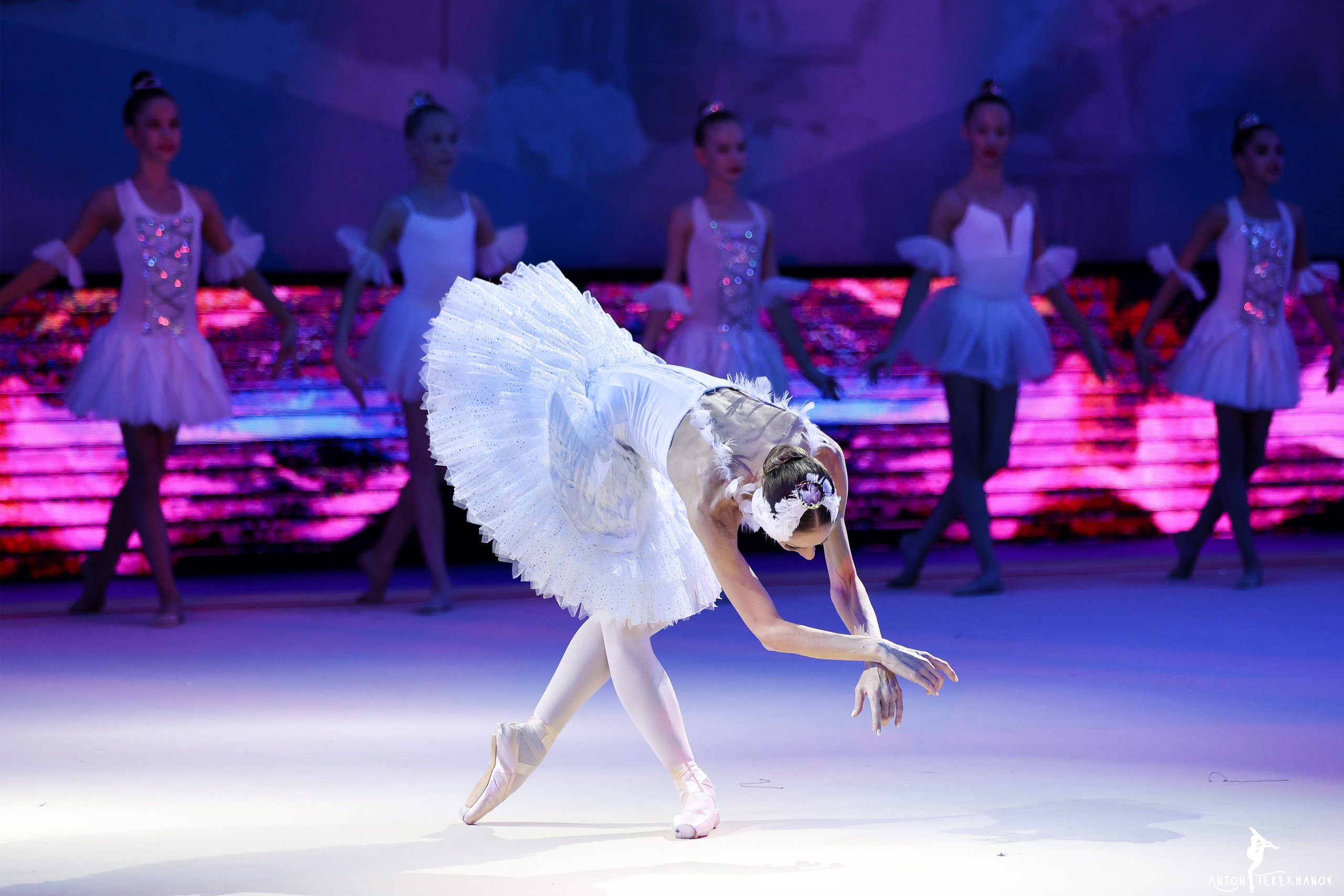 «В гостях с сказки» 29 декабря 2022. Спортивный и репортажный фотограф Антон Тереханов