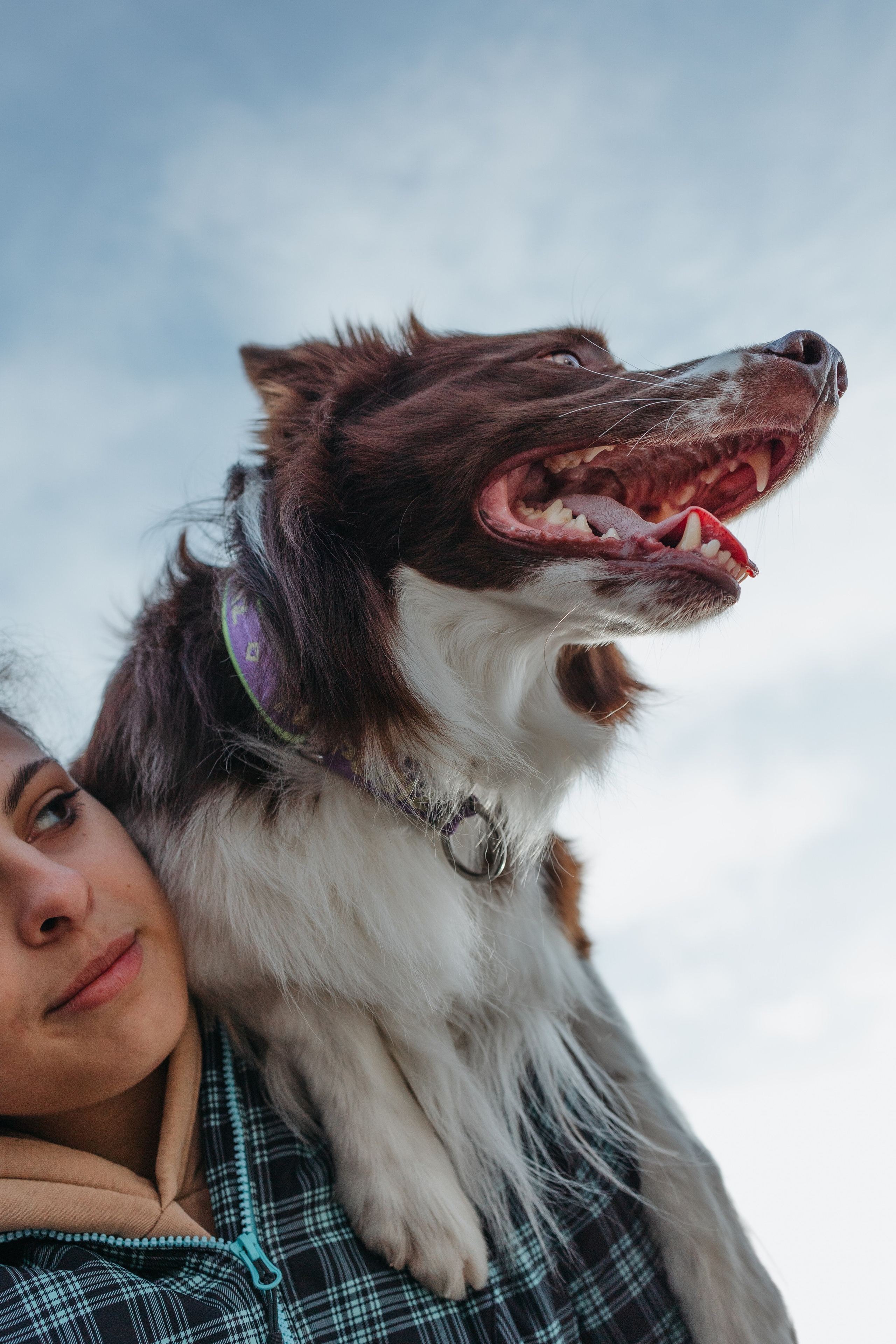Маша и Тори. Фотограф — анималист Светлана Кысса|фотограф собак в Краснодаре и Нижнем Новгороде