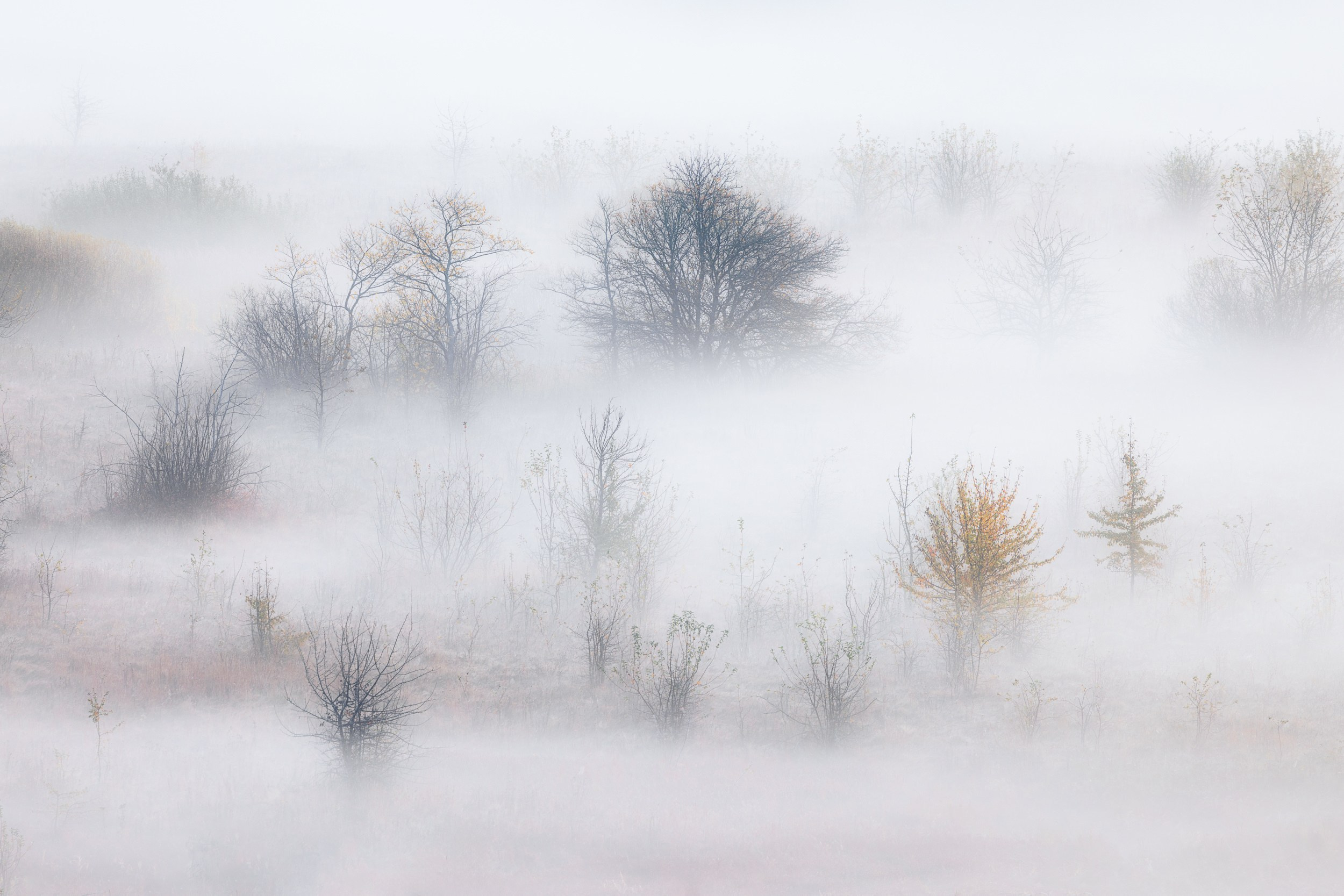 Пейзаж • Landscape. Елена Ивановой • Профессиональный фотограф