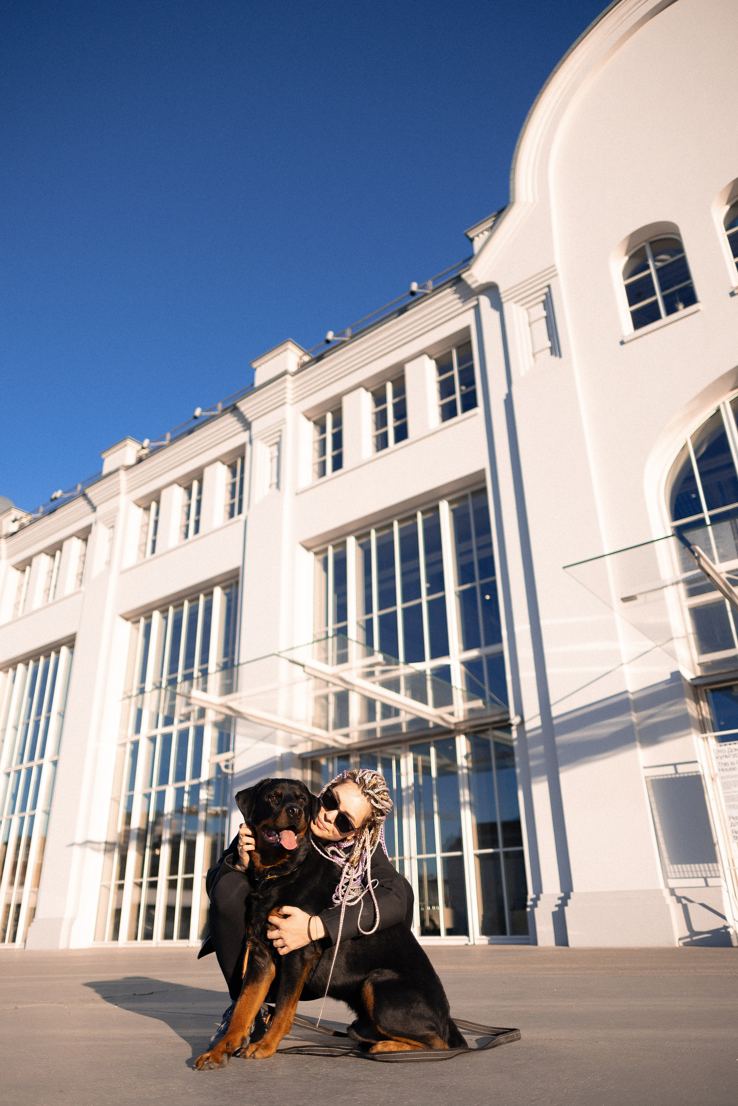 Катя, Леша, Трой и Лея. Фотограф и видеограф анималист Аганина Дарья