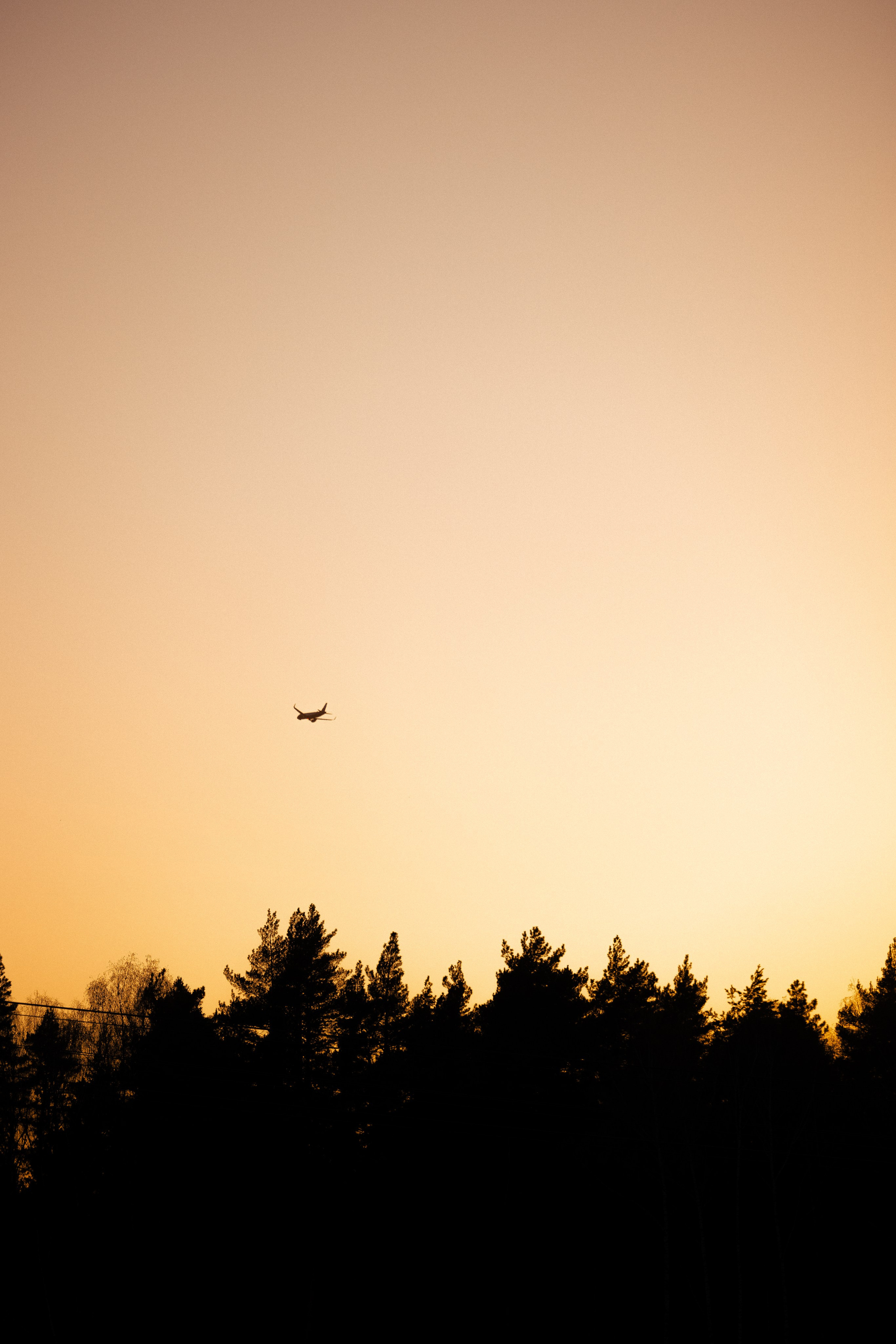 Разношерстная компания. Фотограф и видеограф анималист Аганина Дарья