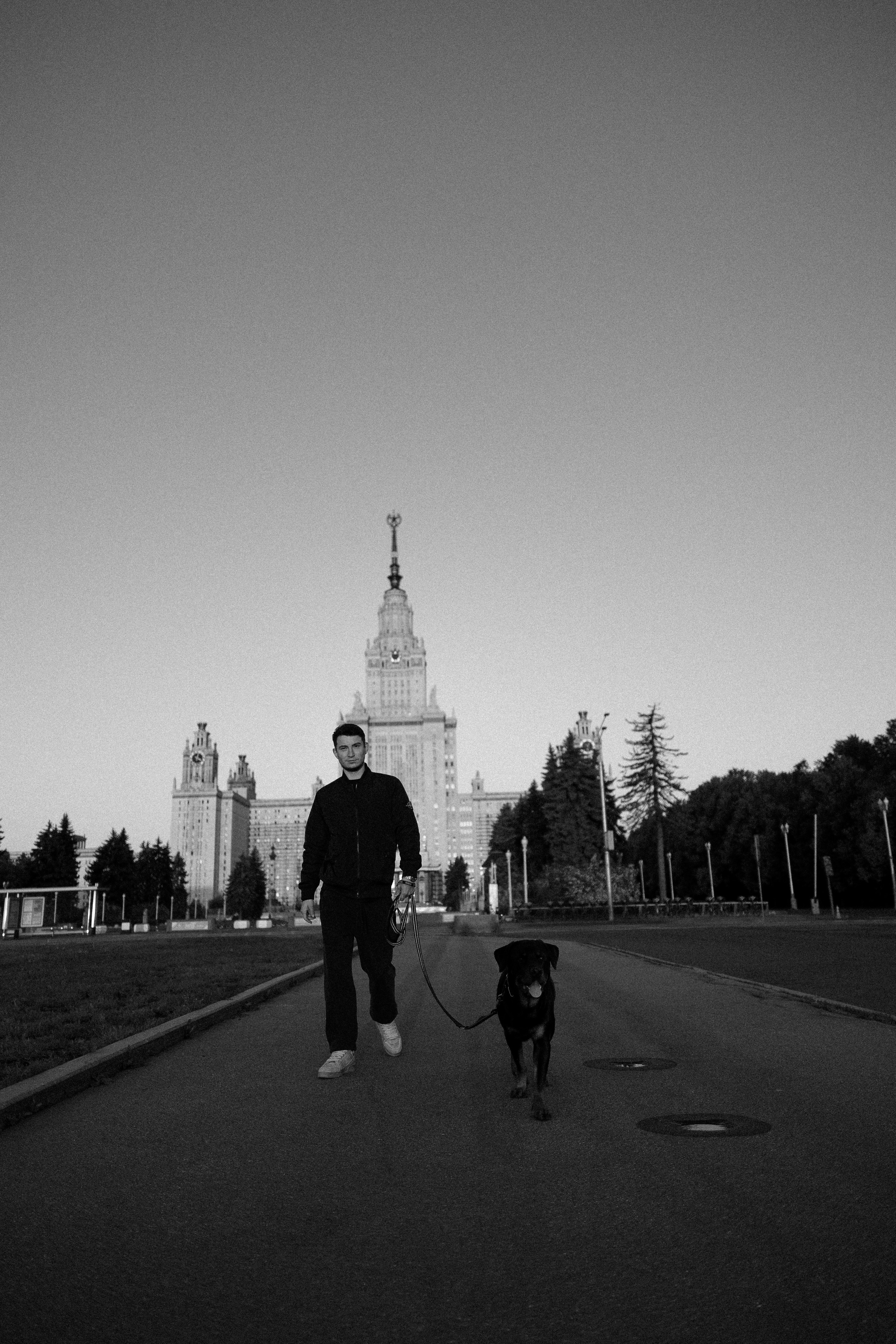 Катя, Леша, Лея и Трой. Фотограф и видеограф анималист Аганина Дарья