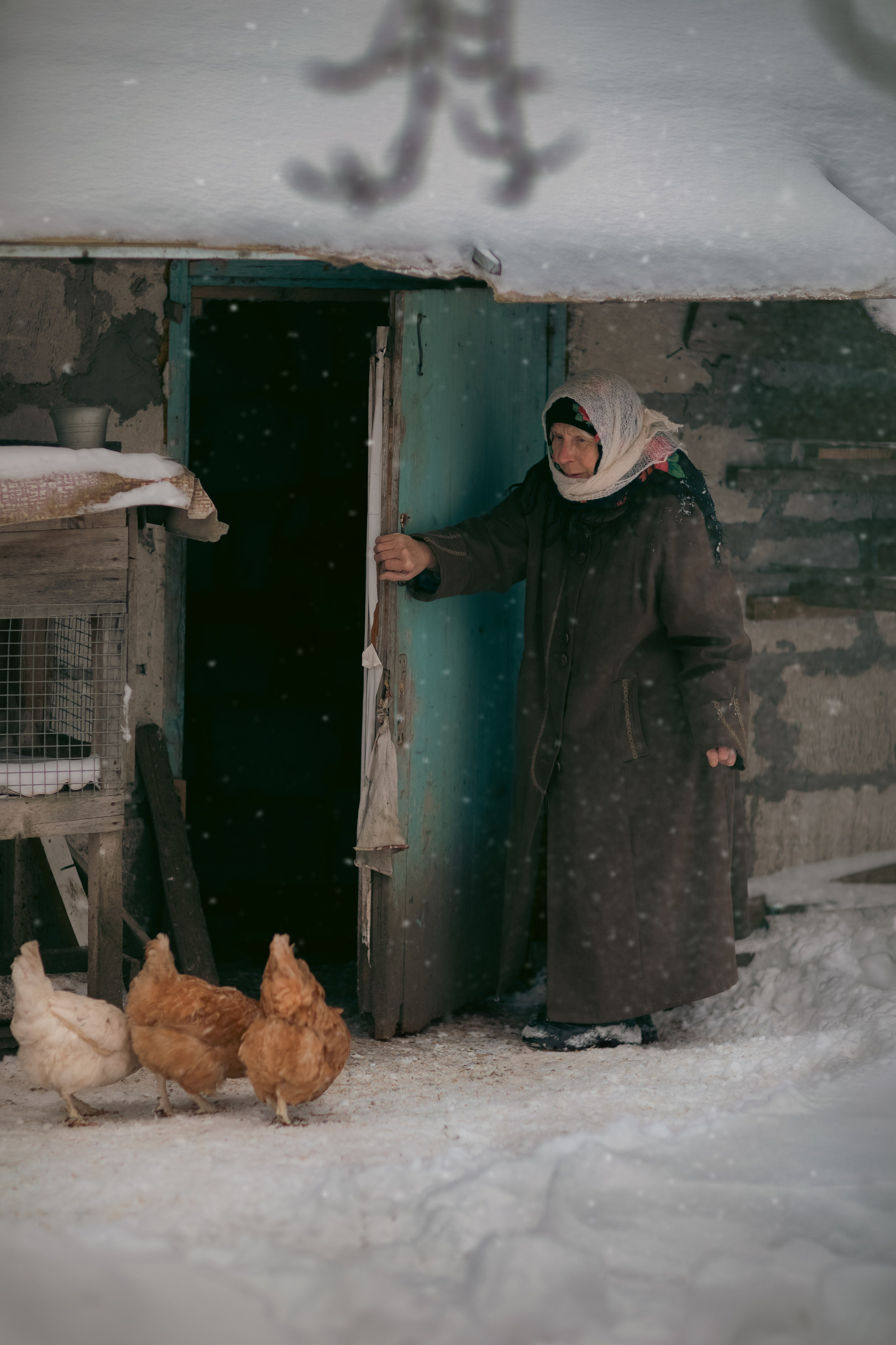 В деревне. Фотограф Минск Юлия Войнич
