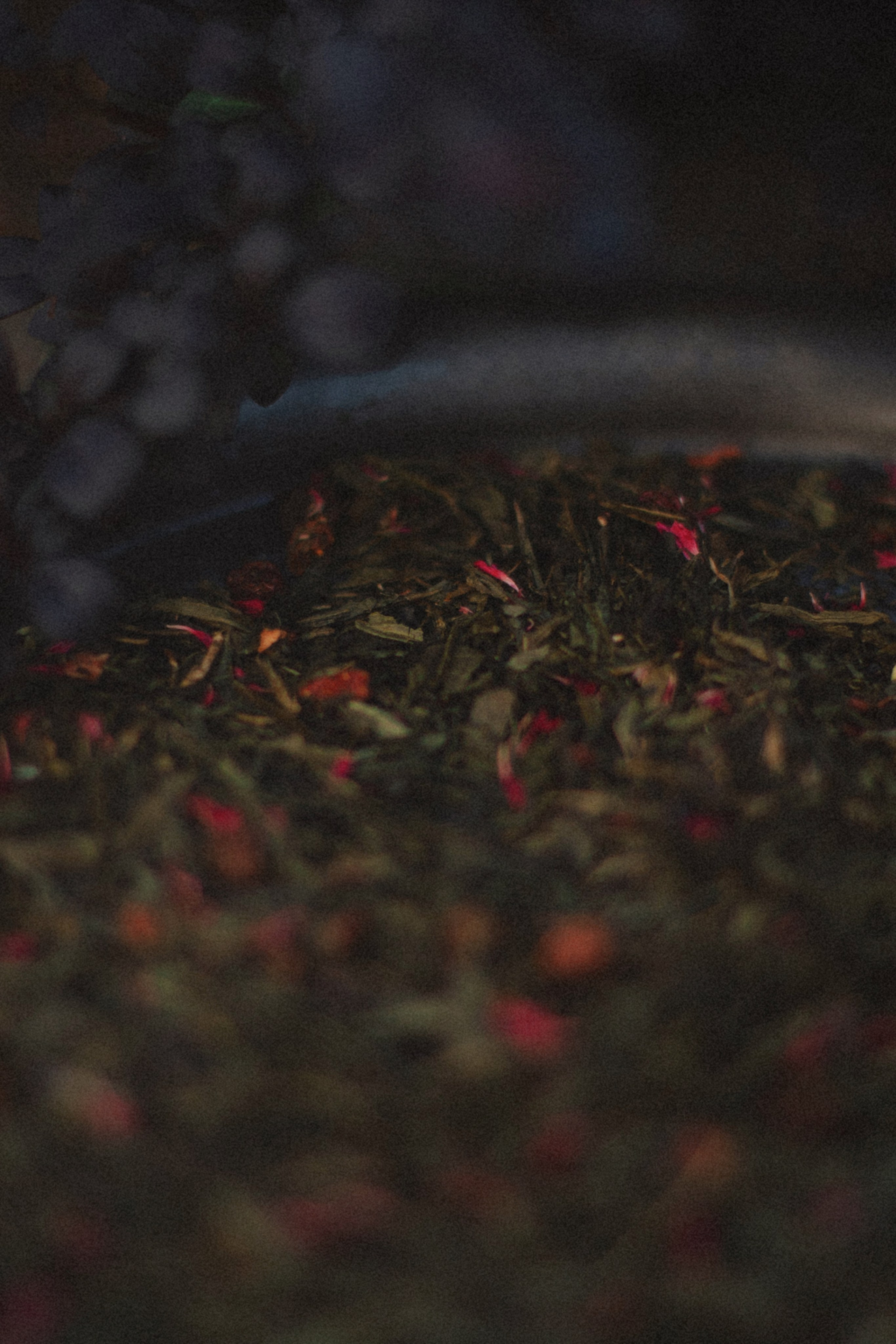 / P r o d u c t /. Nadi Sapunova photographer & visual storyteller