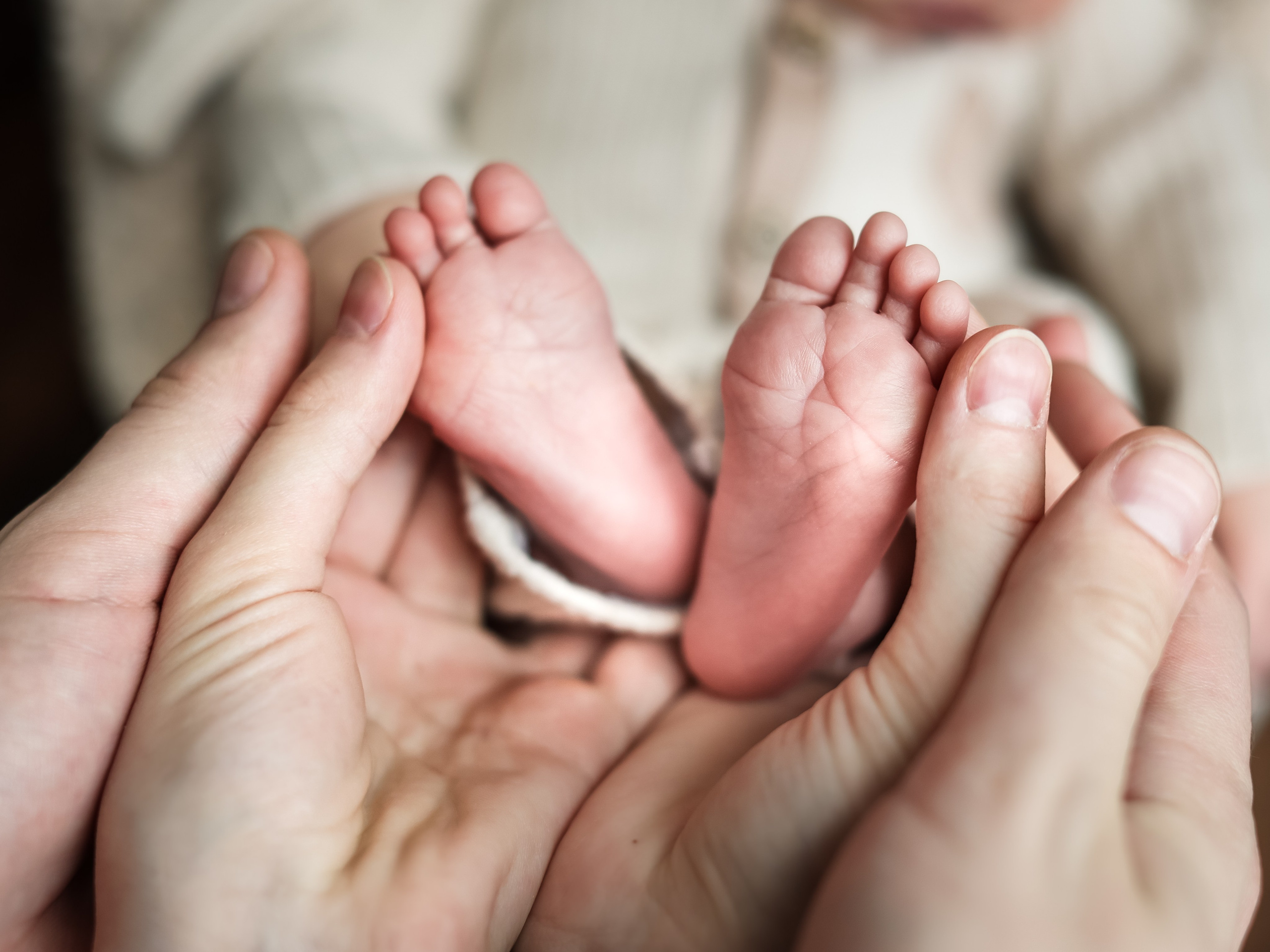 Леон. Семейный и детский фотограф Москва Елена Екимова 8926-895-38-86