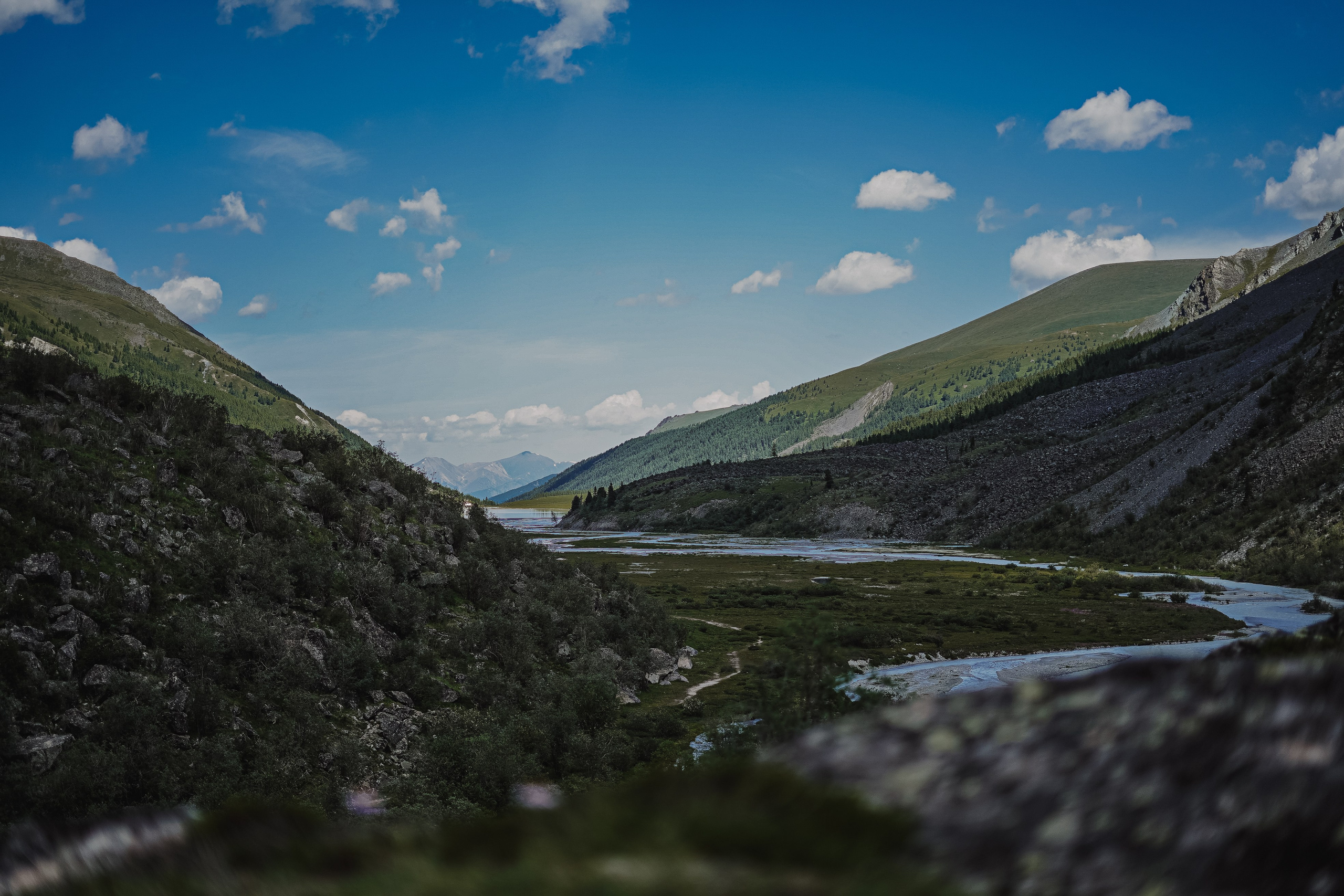 Алтай, поход к Белухе 2023. Фотограф Ольга Пучкова