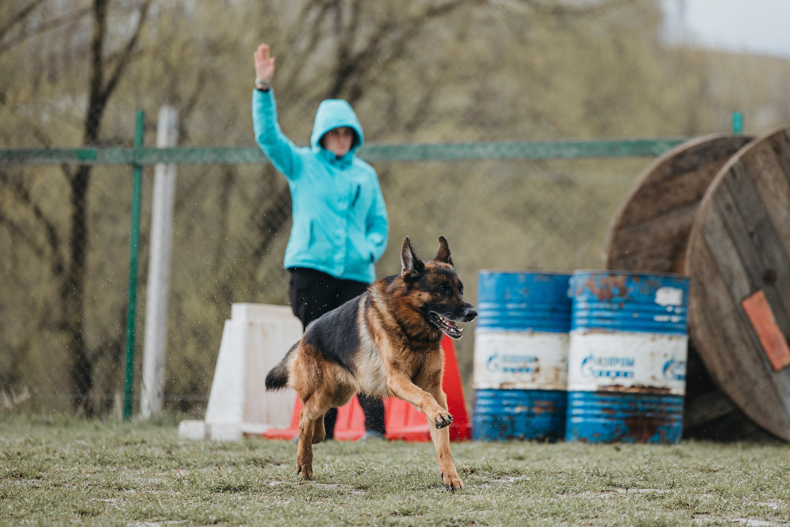 09.05.25 Вологда соревнования. Фотограф-анималист Анна Маринич