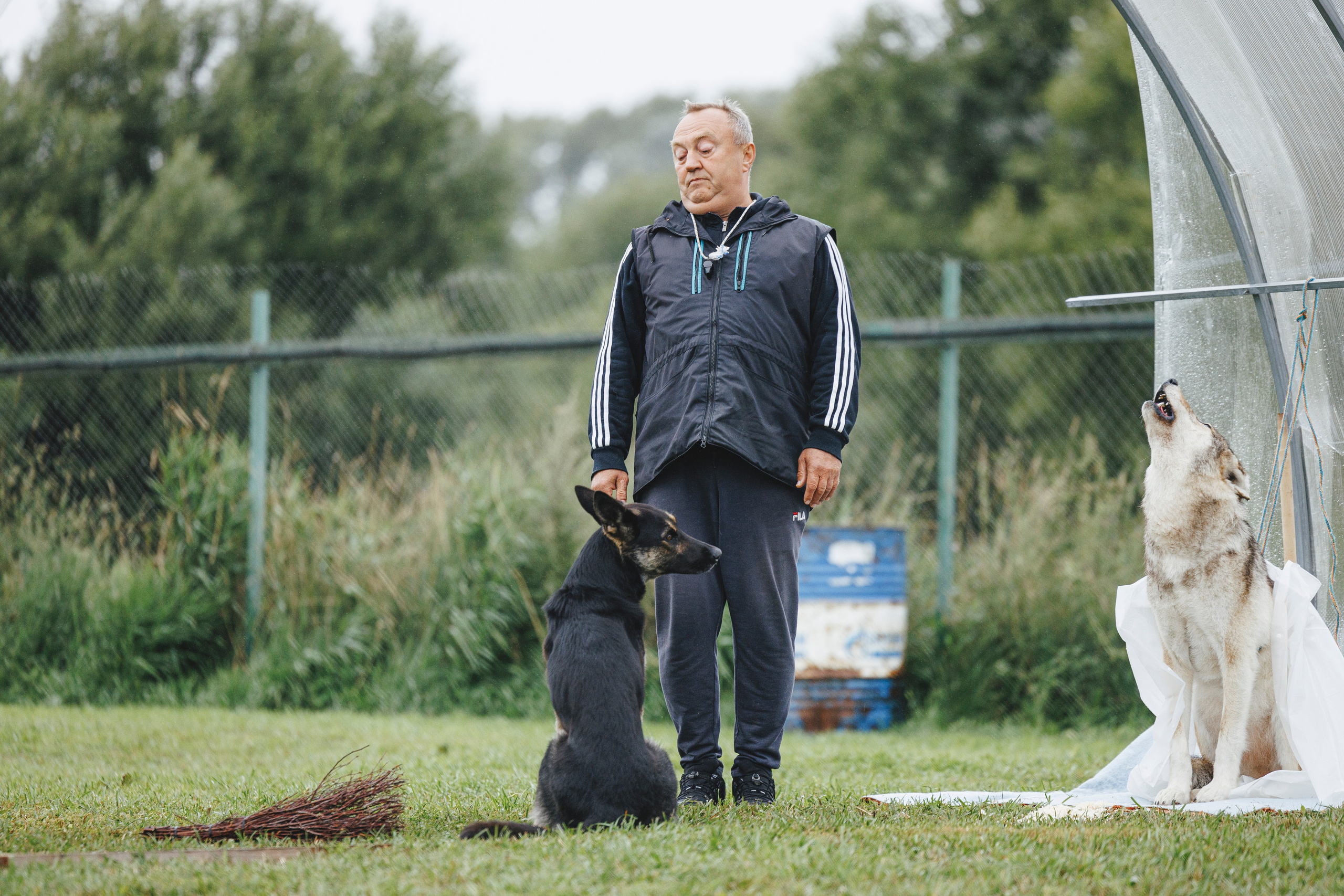 08.08.25-10.08.25 ЧР по мондьорингу г. Вологда. Фотограф-анималист Анна Маринич