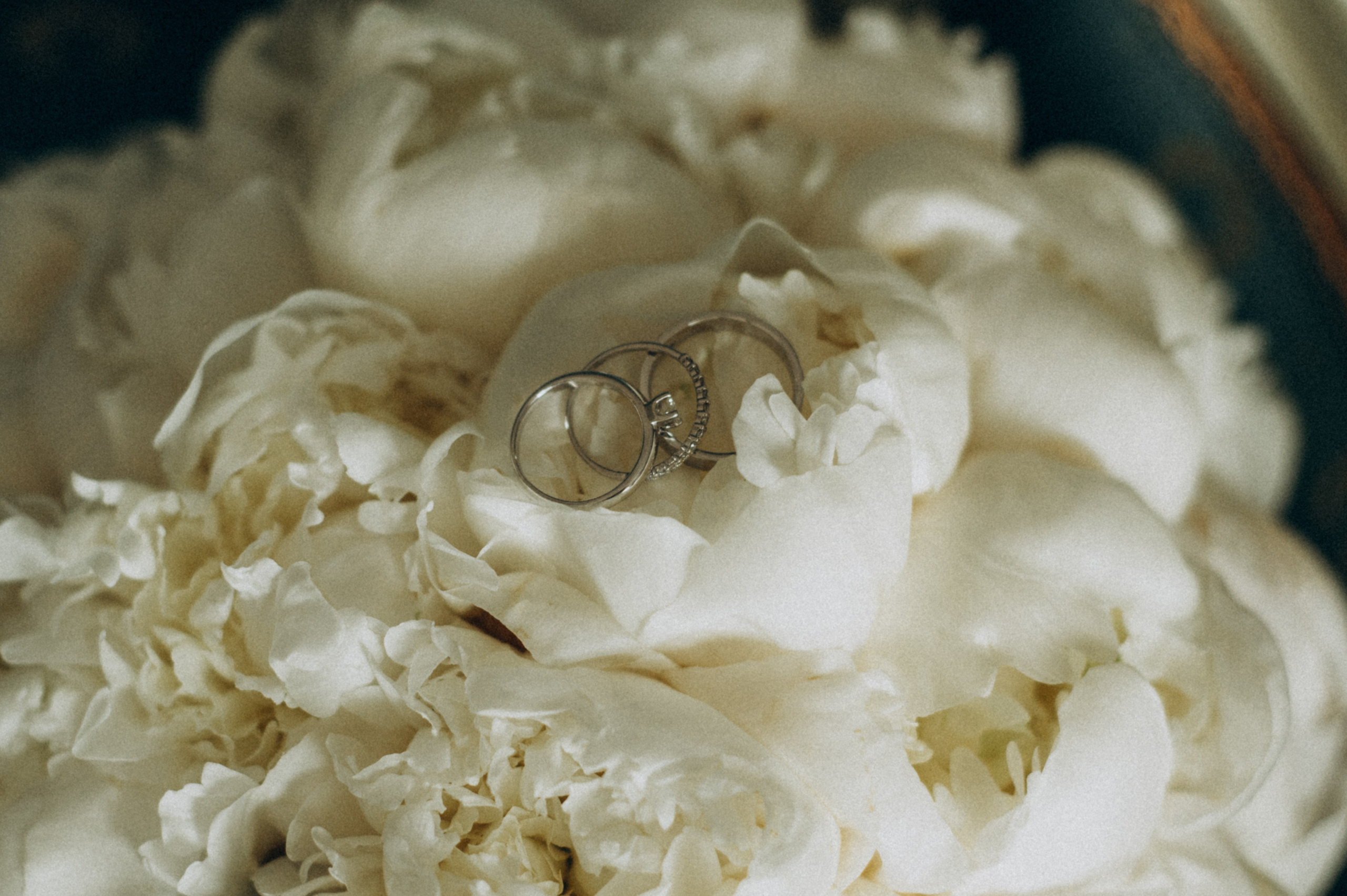 Ваня Даша. Фотограф Милка Татьяна