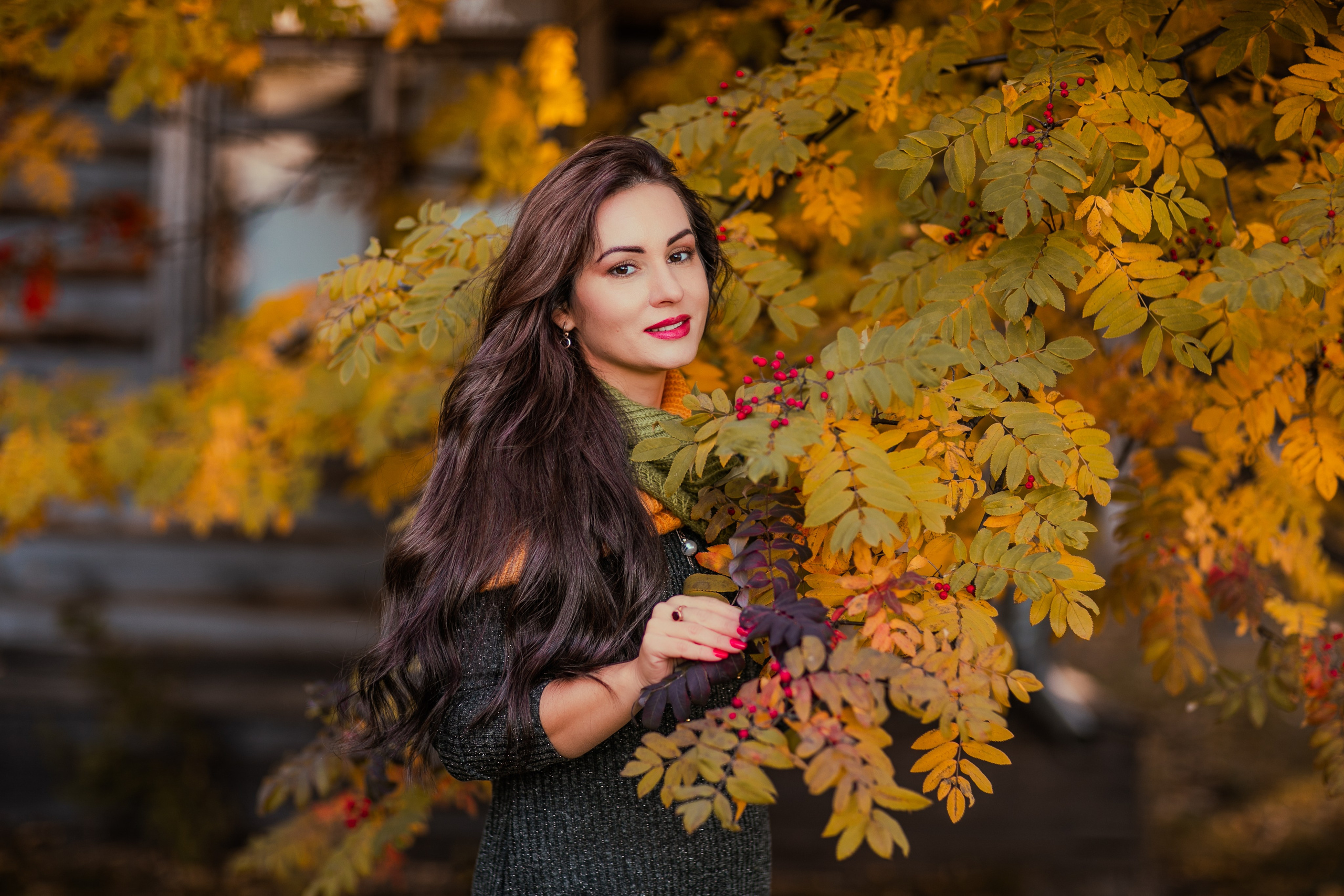 Багрец и золото. Фотограф Елена Вишневская (Ушакова) Нефтеюганск, Сургут, Тюмень