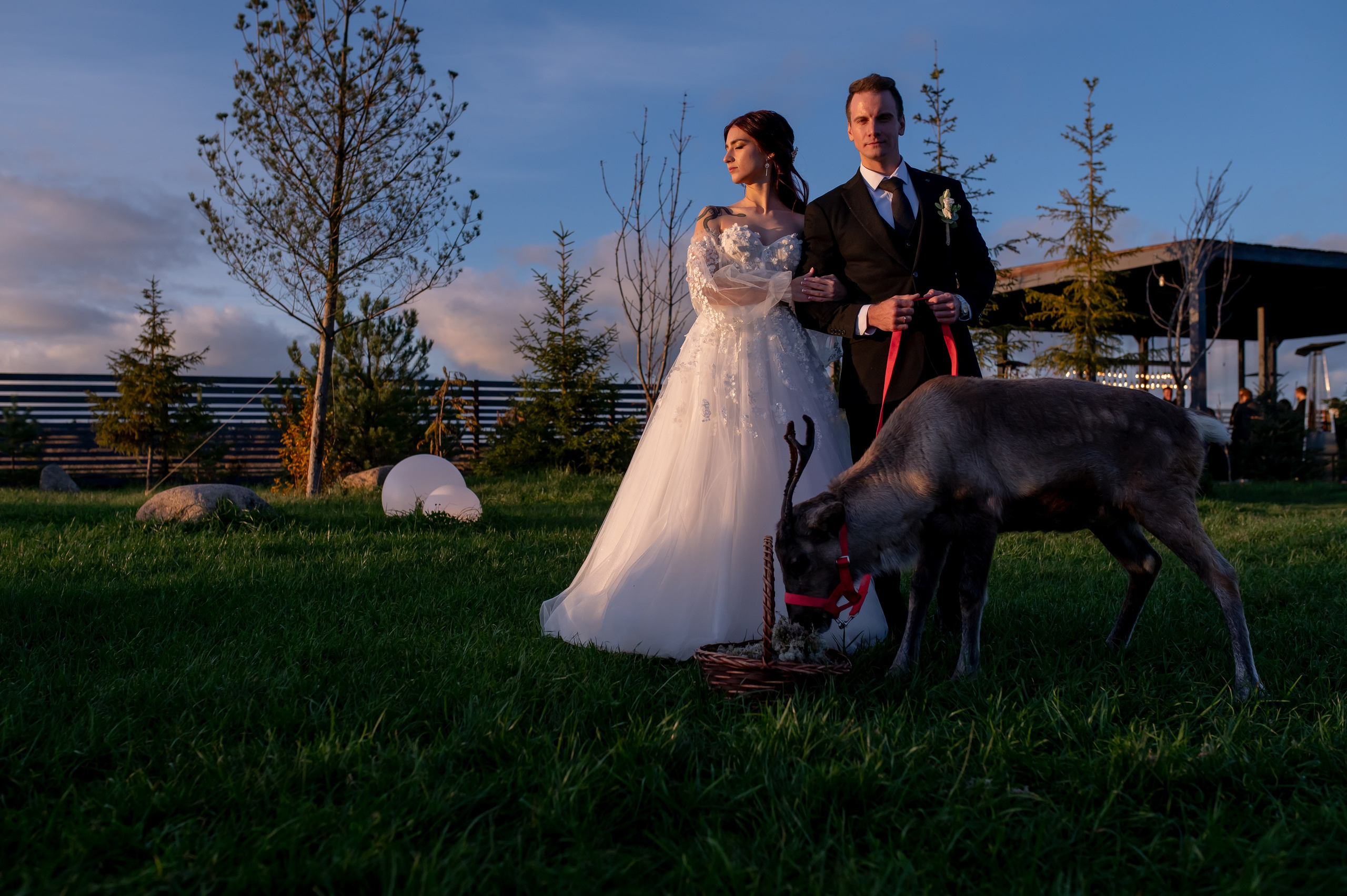 Портфолио. Свадебный и репортажный фотограф в Санкт-Петербурге Климов Анатолий