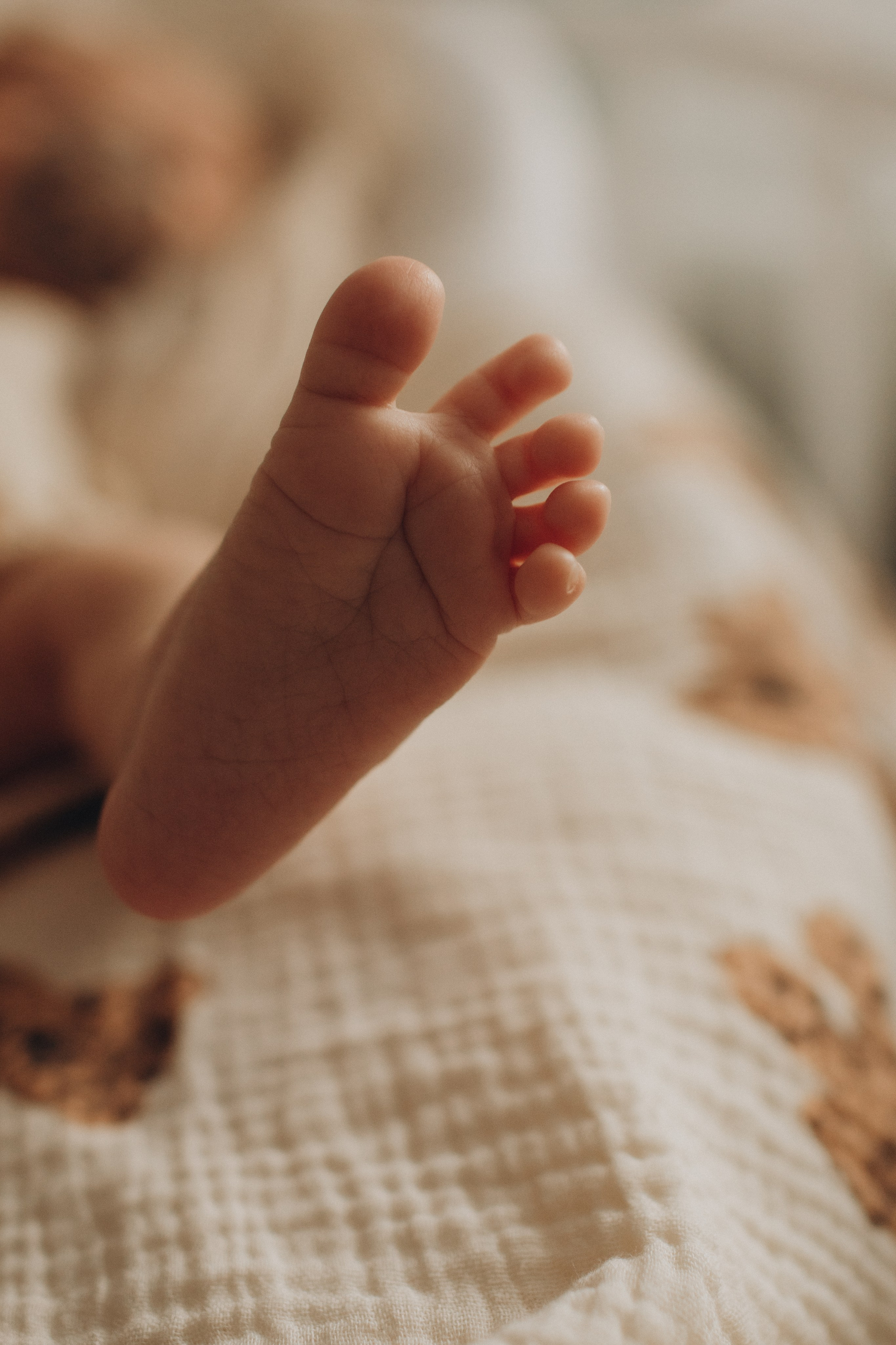 Кире 25 дней!. Семейный фотограф в Челябинске Ксения Зубкова