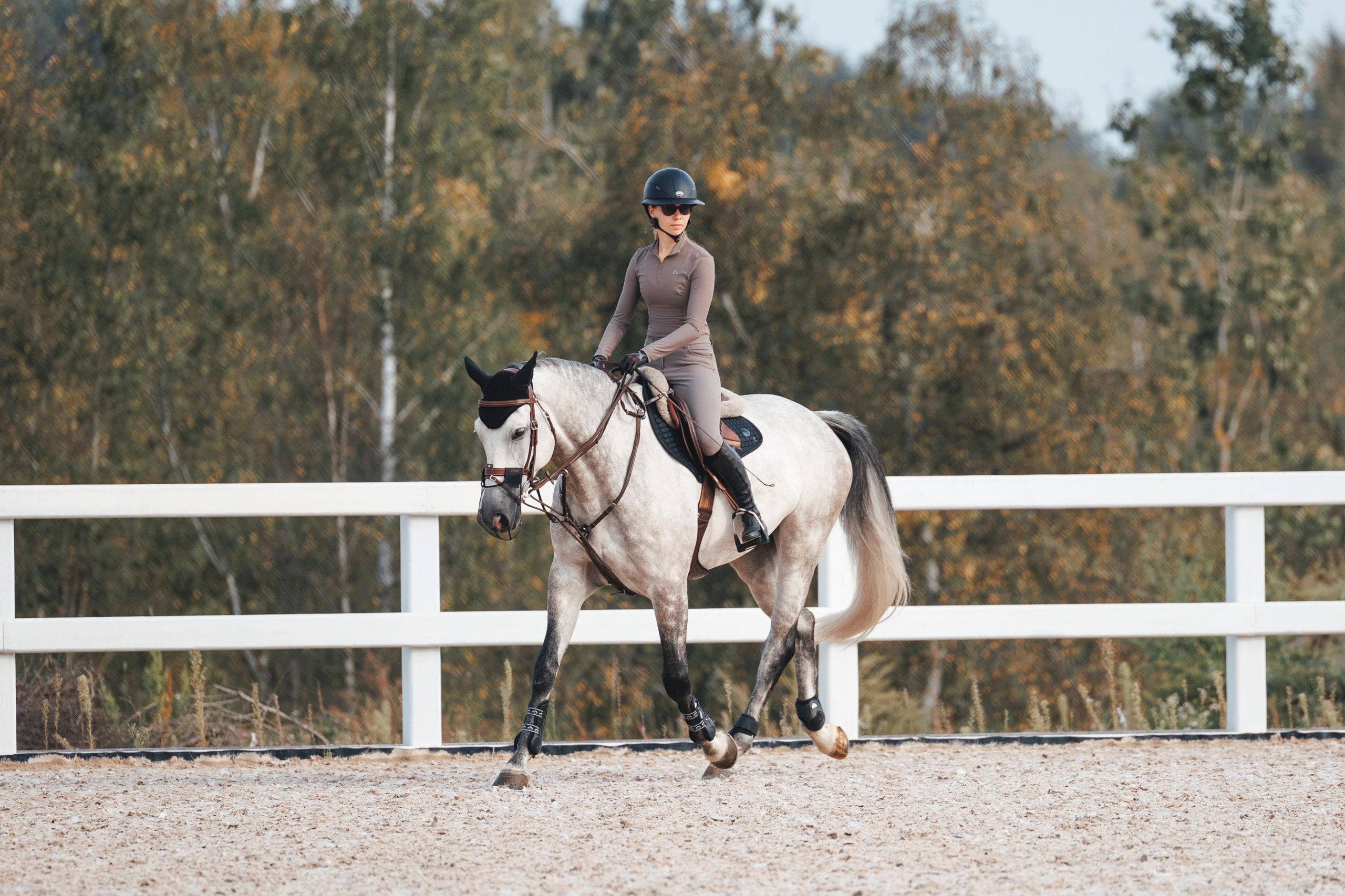 Конкур. Фотограф-анималист Анна Маринич