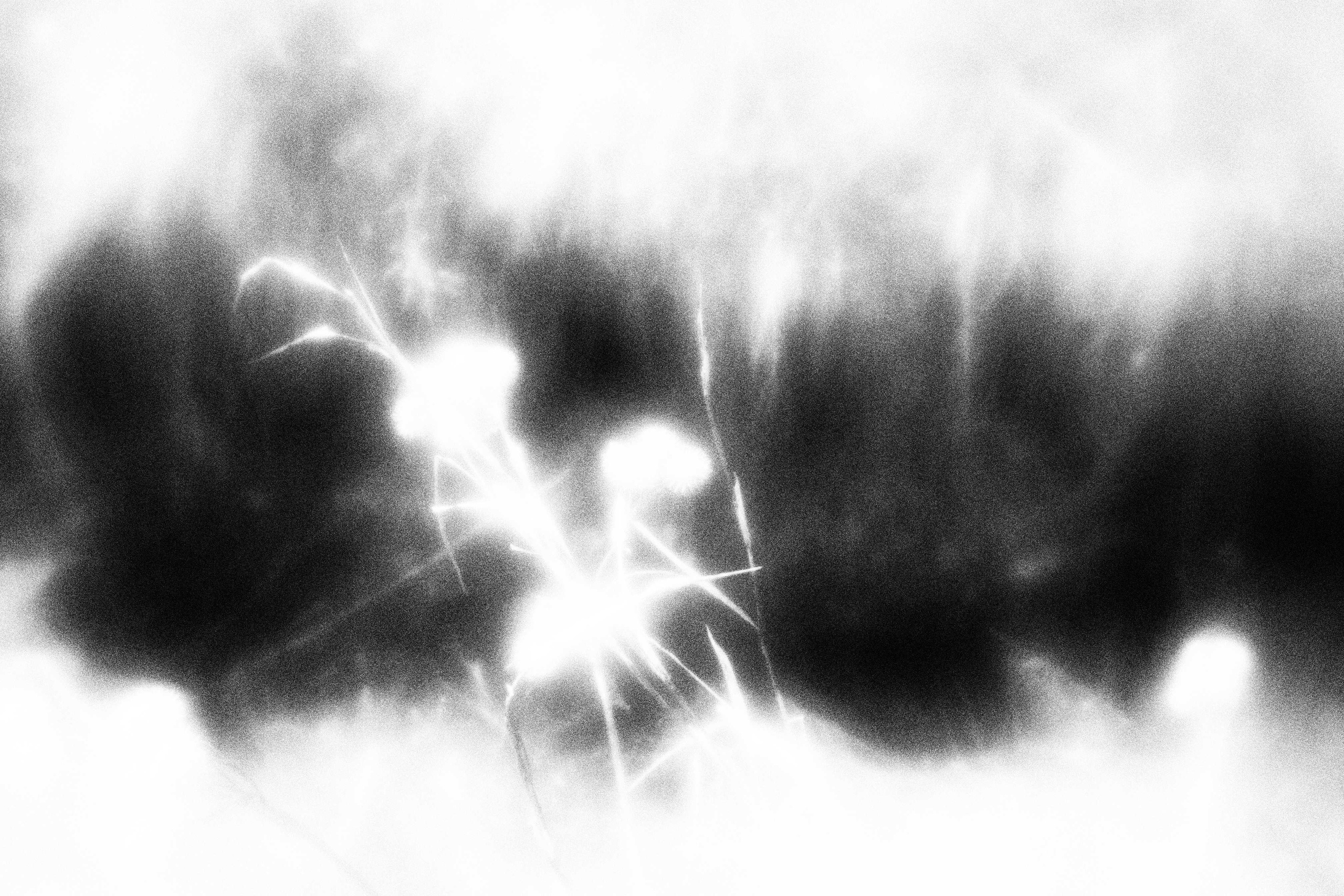 «Видеть. Чувствовать. Сохранять»