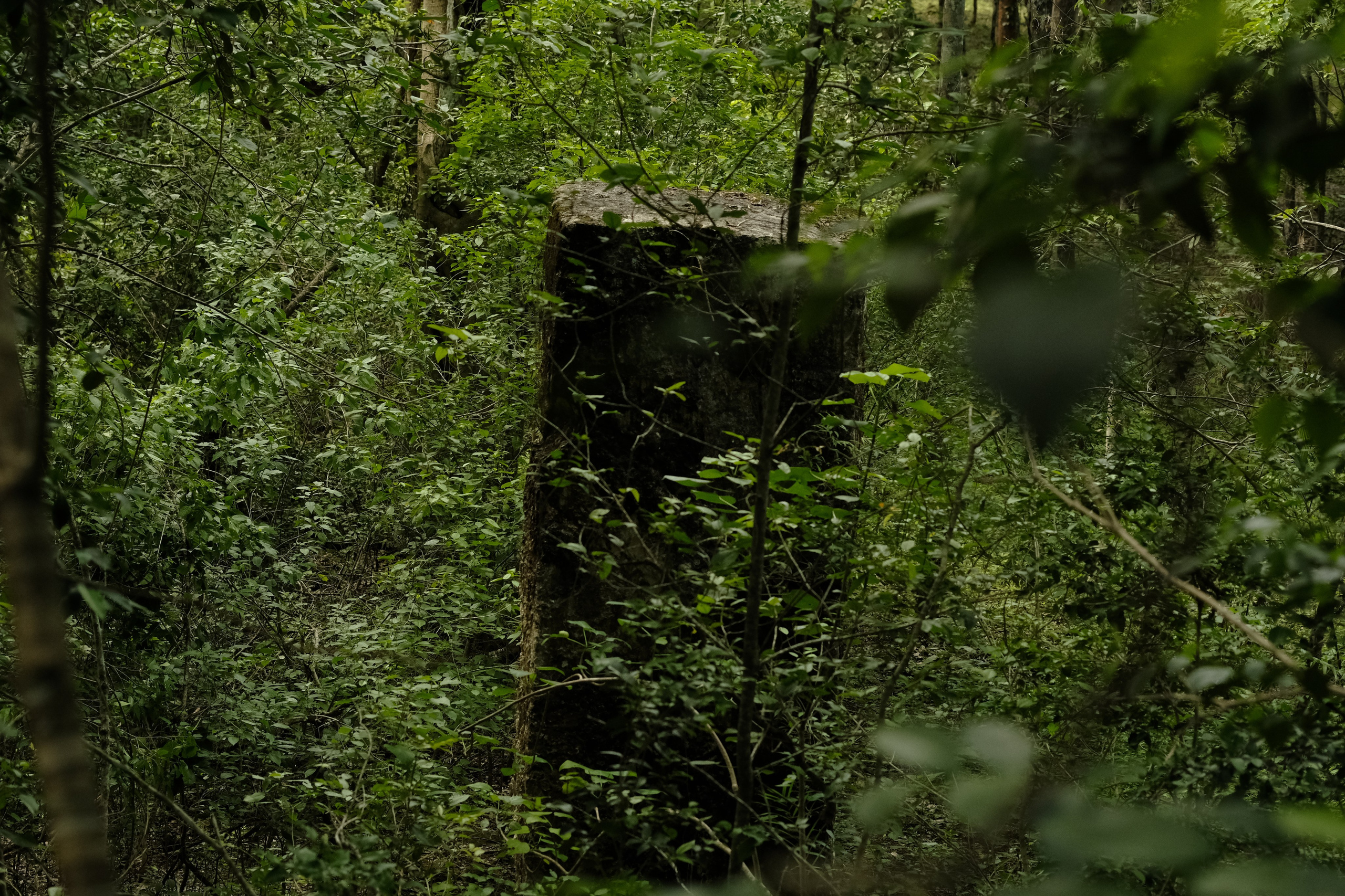 Documentary. Margarita Rodionova — a contemporary lens-based artist currently working in Cancun, Mexico