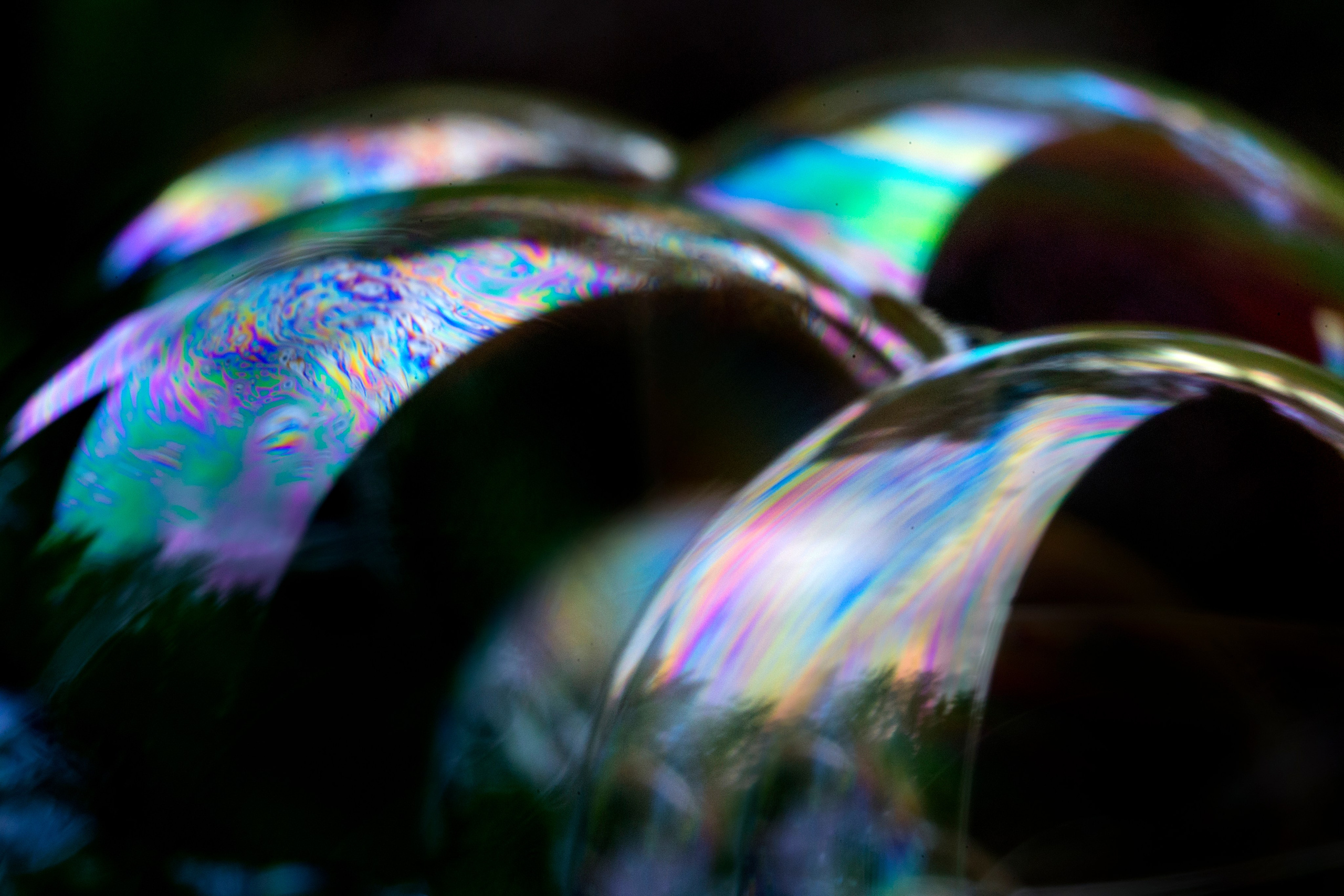 Макро. Фотограф Лагутин Анатолий