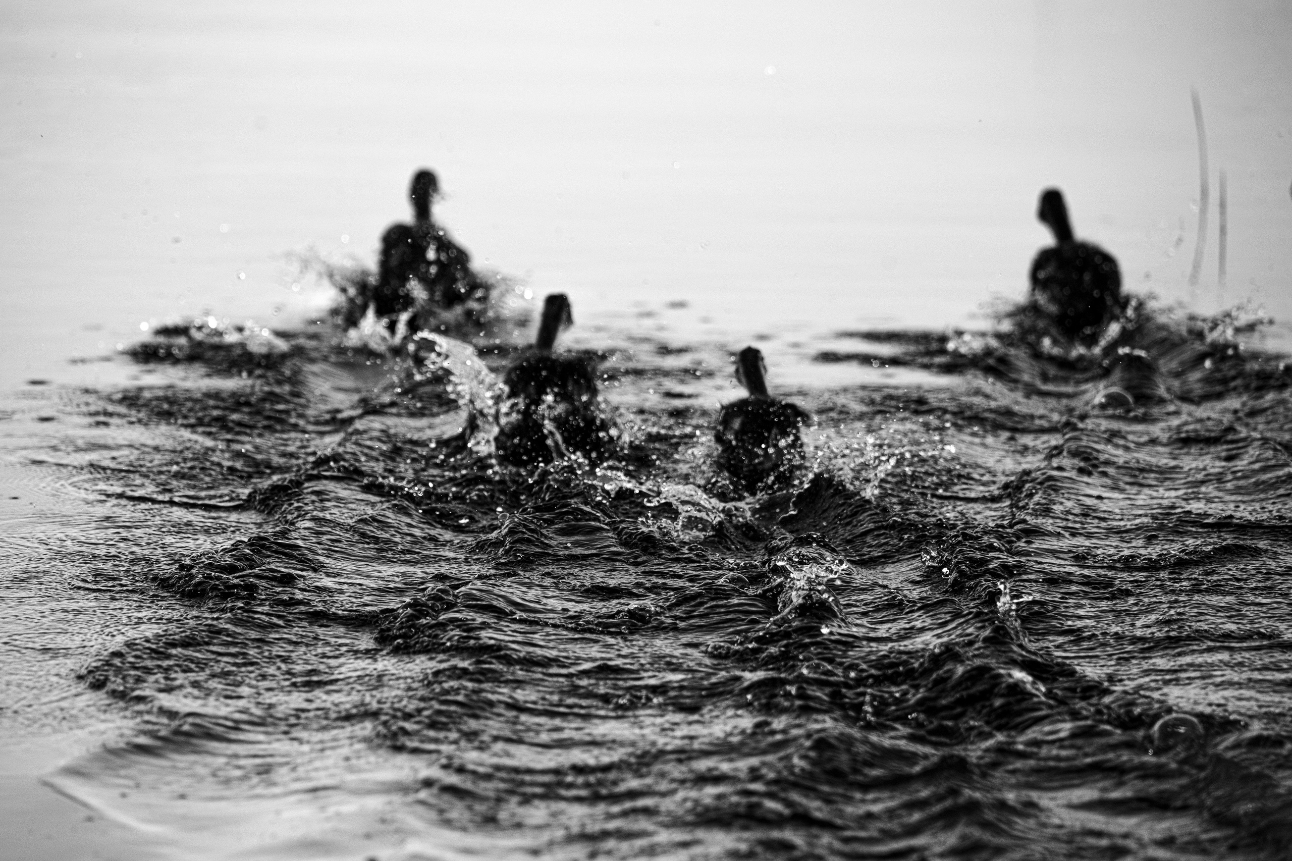 Фотографии Лены Соколовой