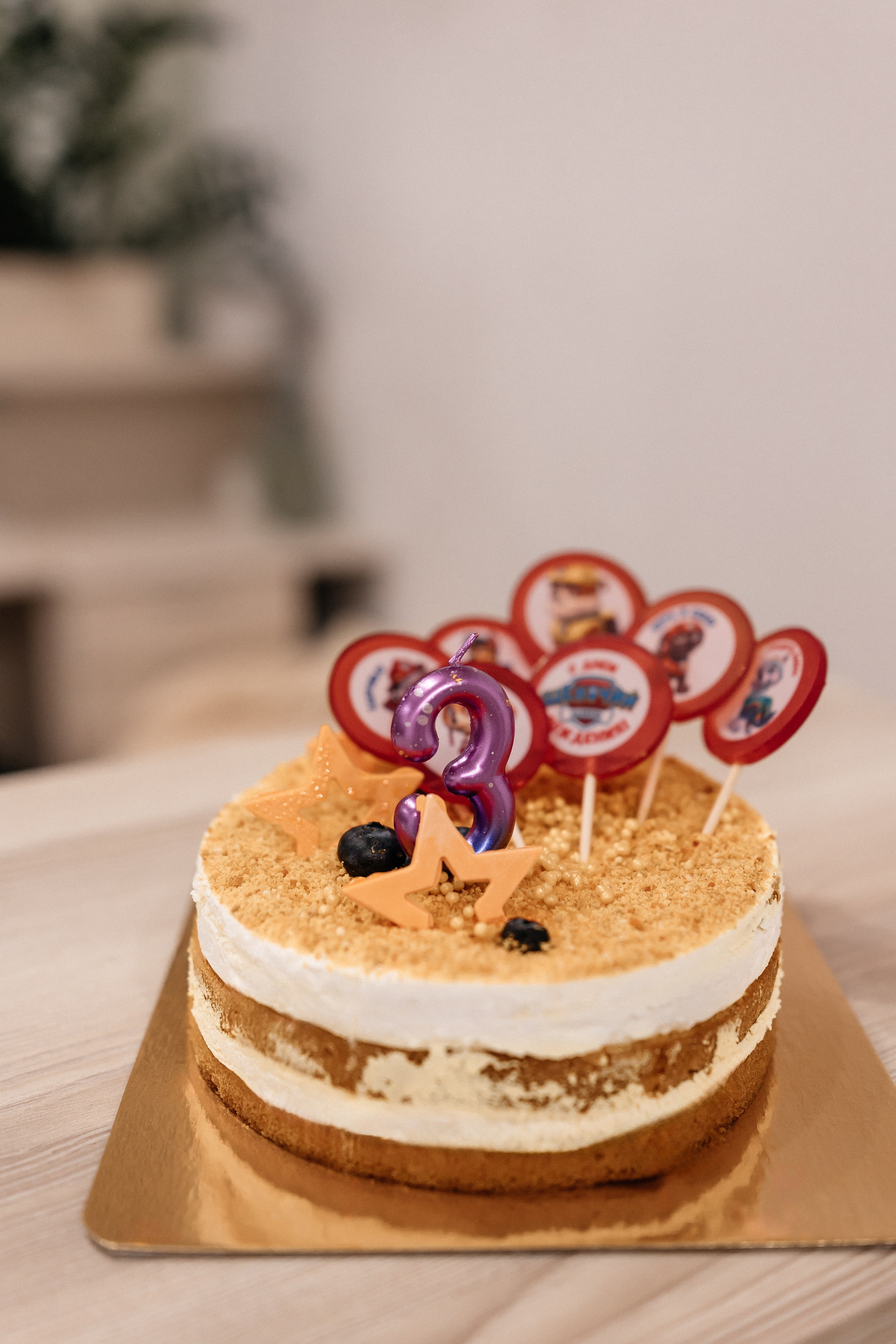 День рождения Маргариты. Семейный фотограф Минск Усова Ольга