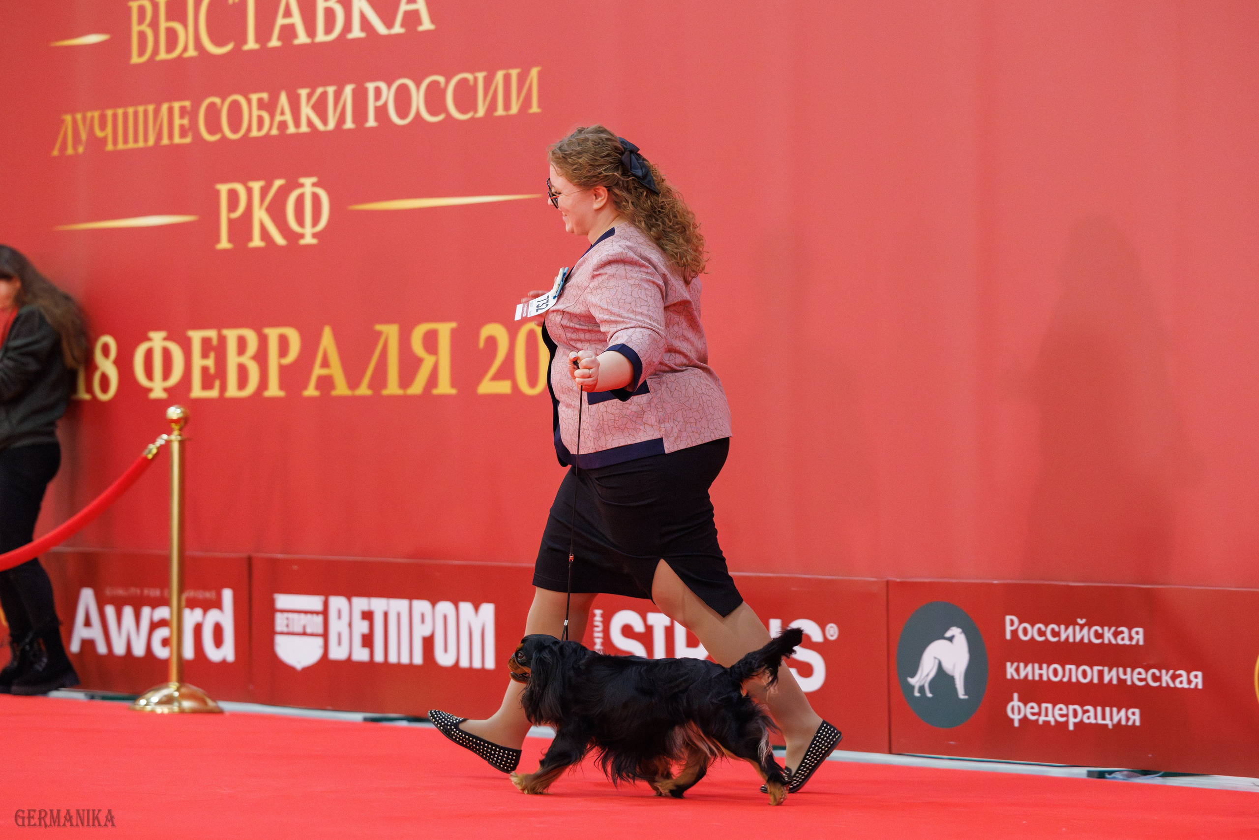 Лучшие Собаки России 17-18.02.2024. Фотограф-анималист Юлия Германика