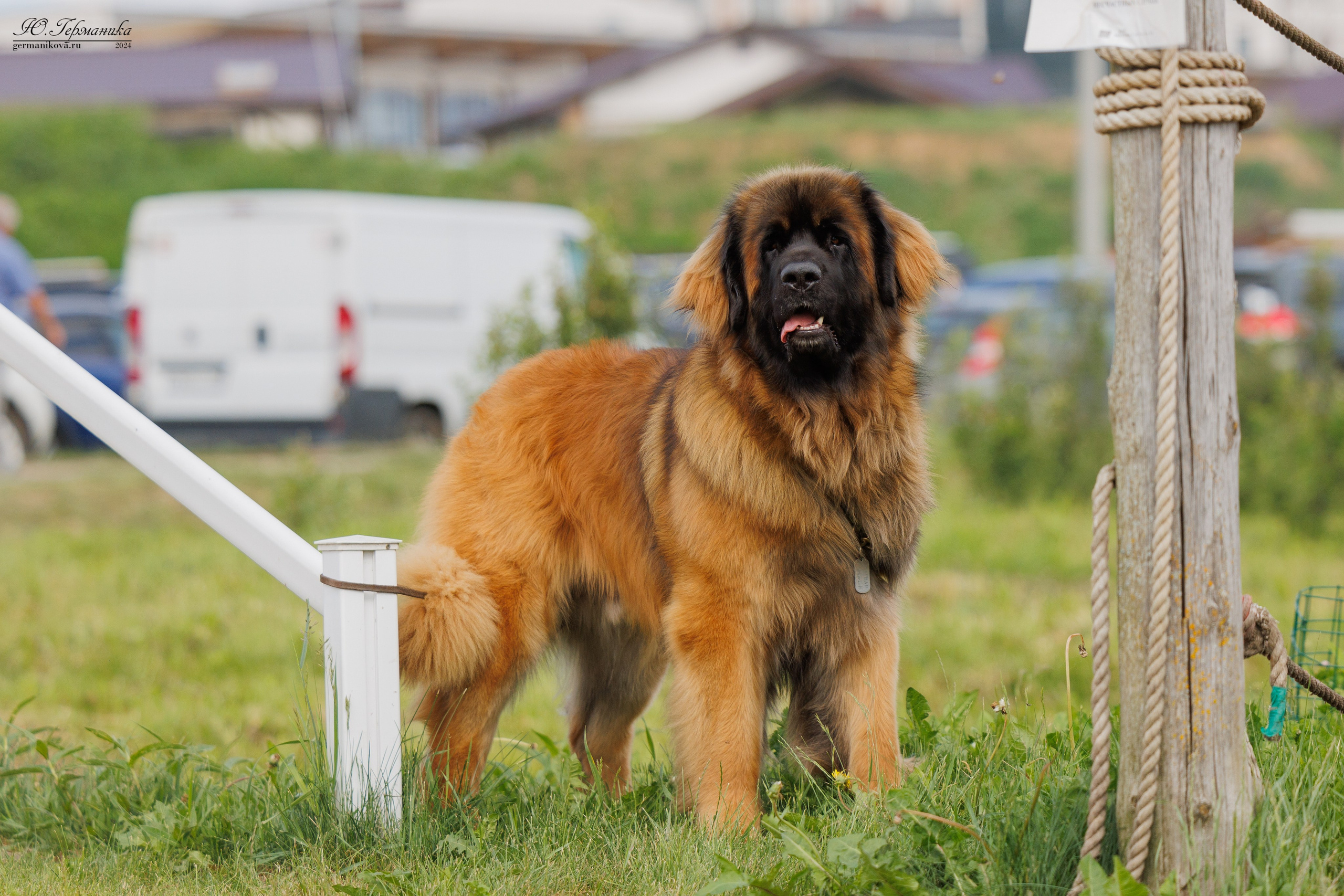 РОССИЯ 8-9.06.2024. Фотограф-анималист Юлия Германика