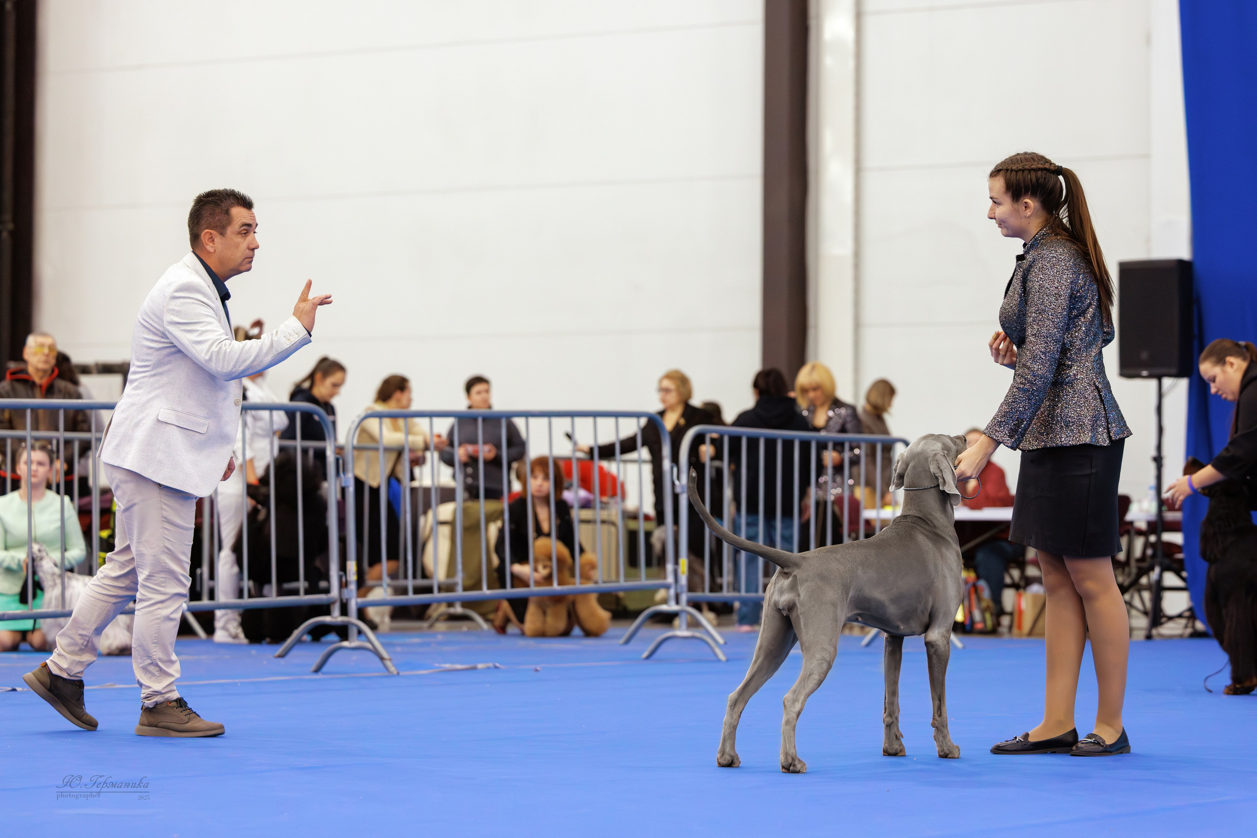 Питер 12-13.12.2025. Фотограф-анималист Юлия Германика