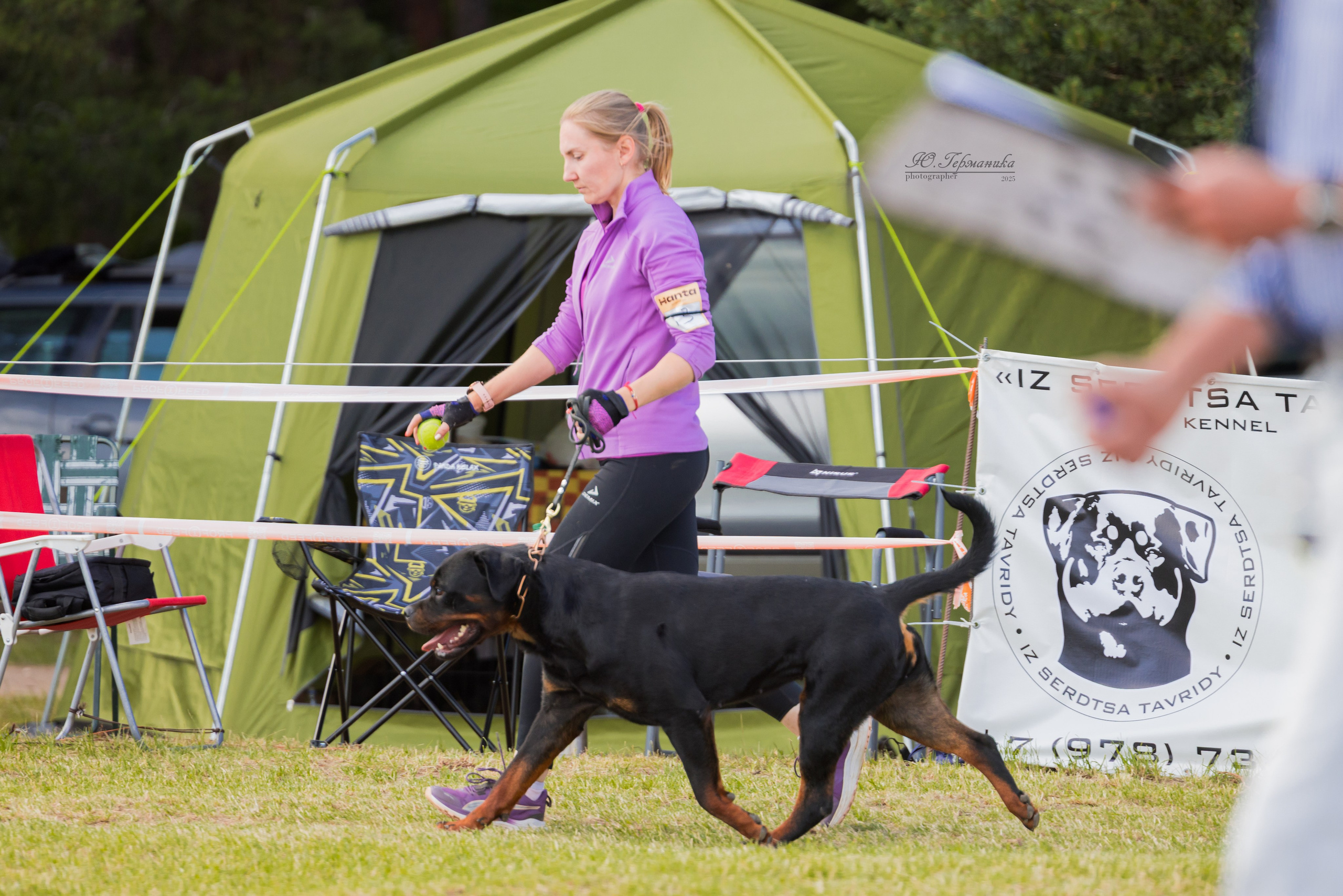 Тверь ротвейлеры 5-6.07.2025. Фотограф-анималист Юлия Германика