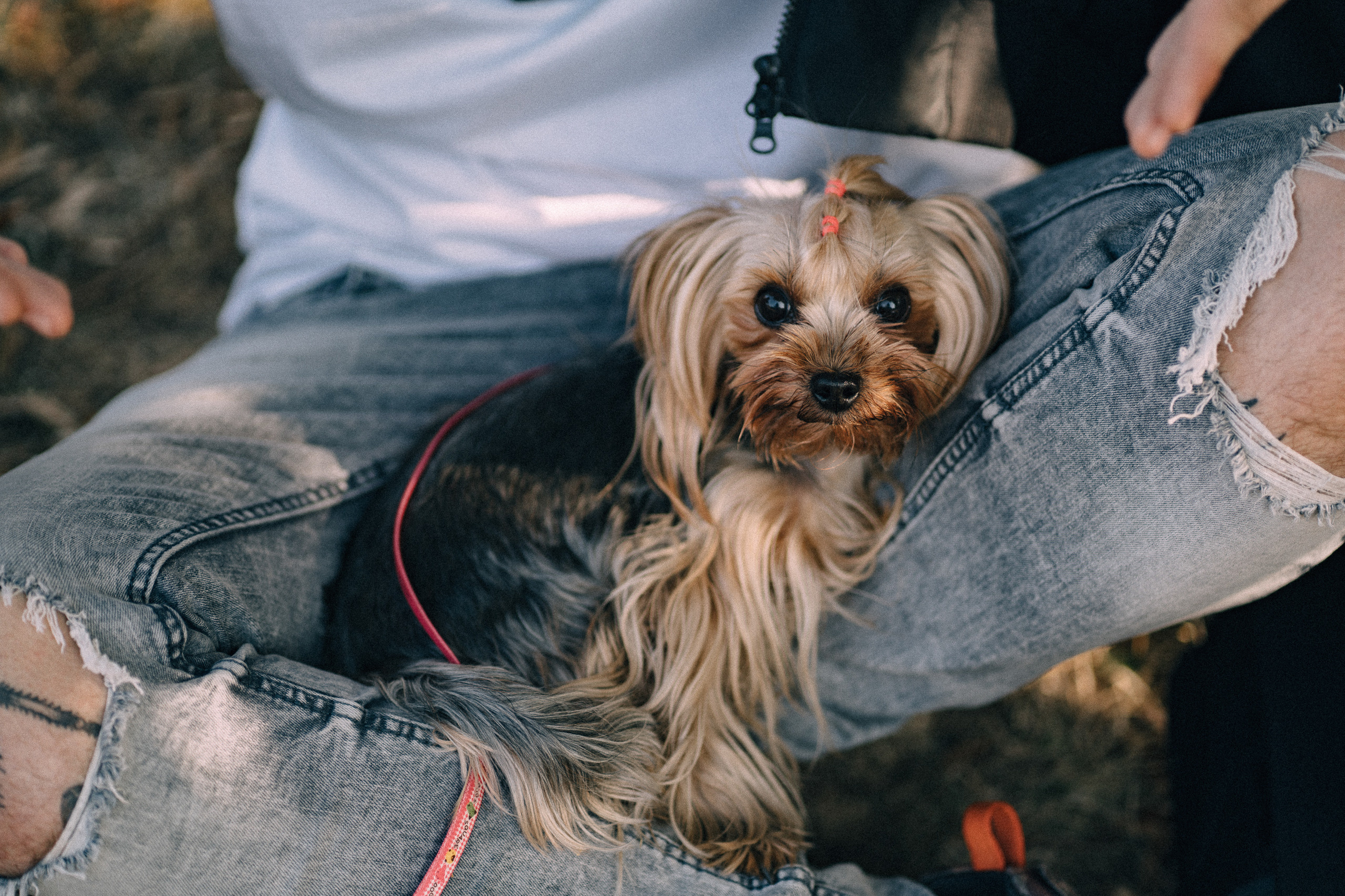 Саша & Алёна. Свадебный и репортажный фотограф Юров Дмитрий