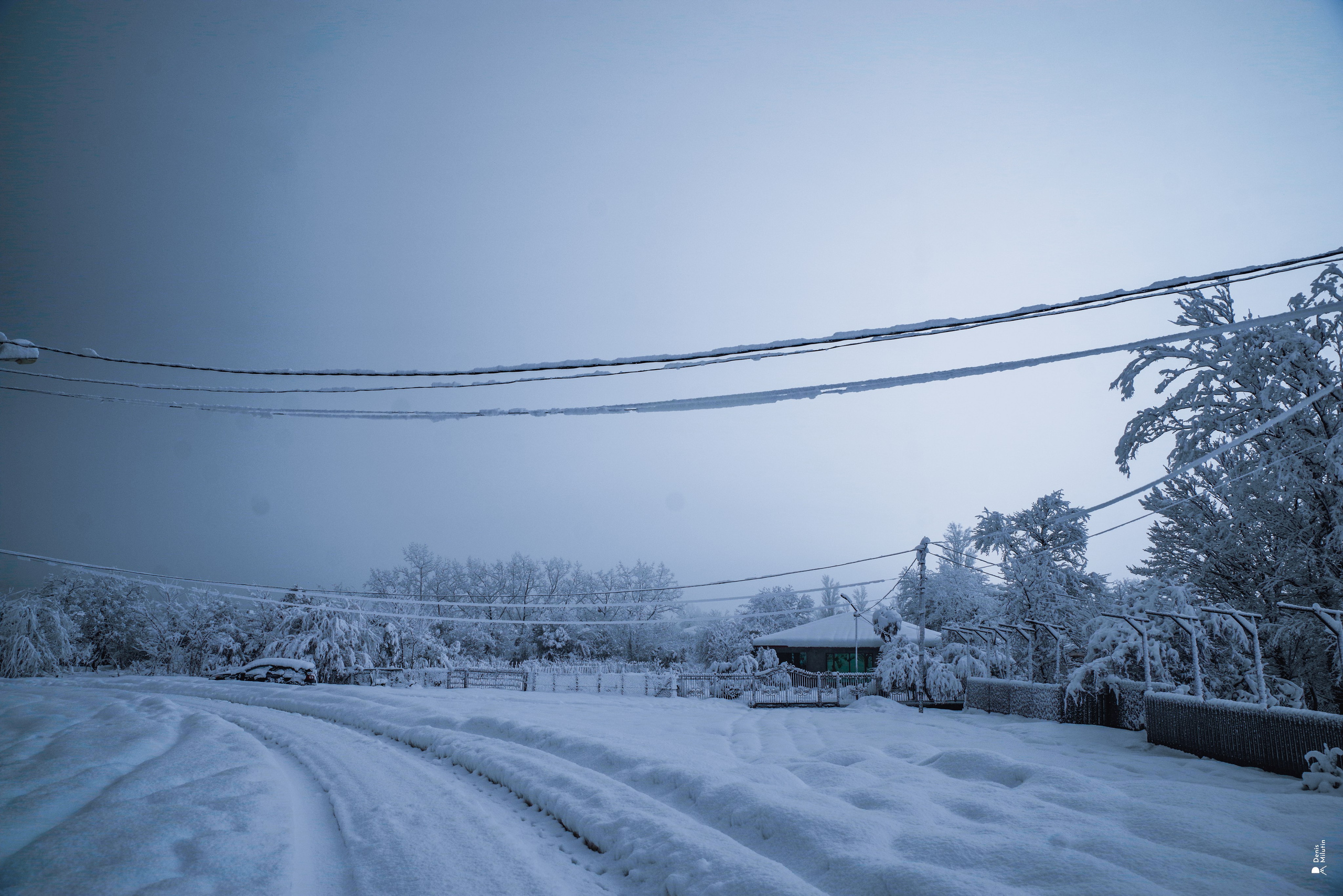 Спящий Менджи зимой. Портретный фотограф Денис Милютин