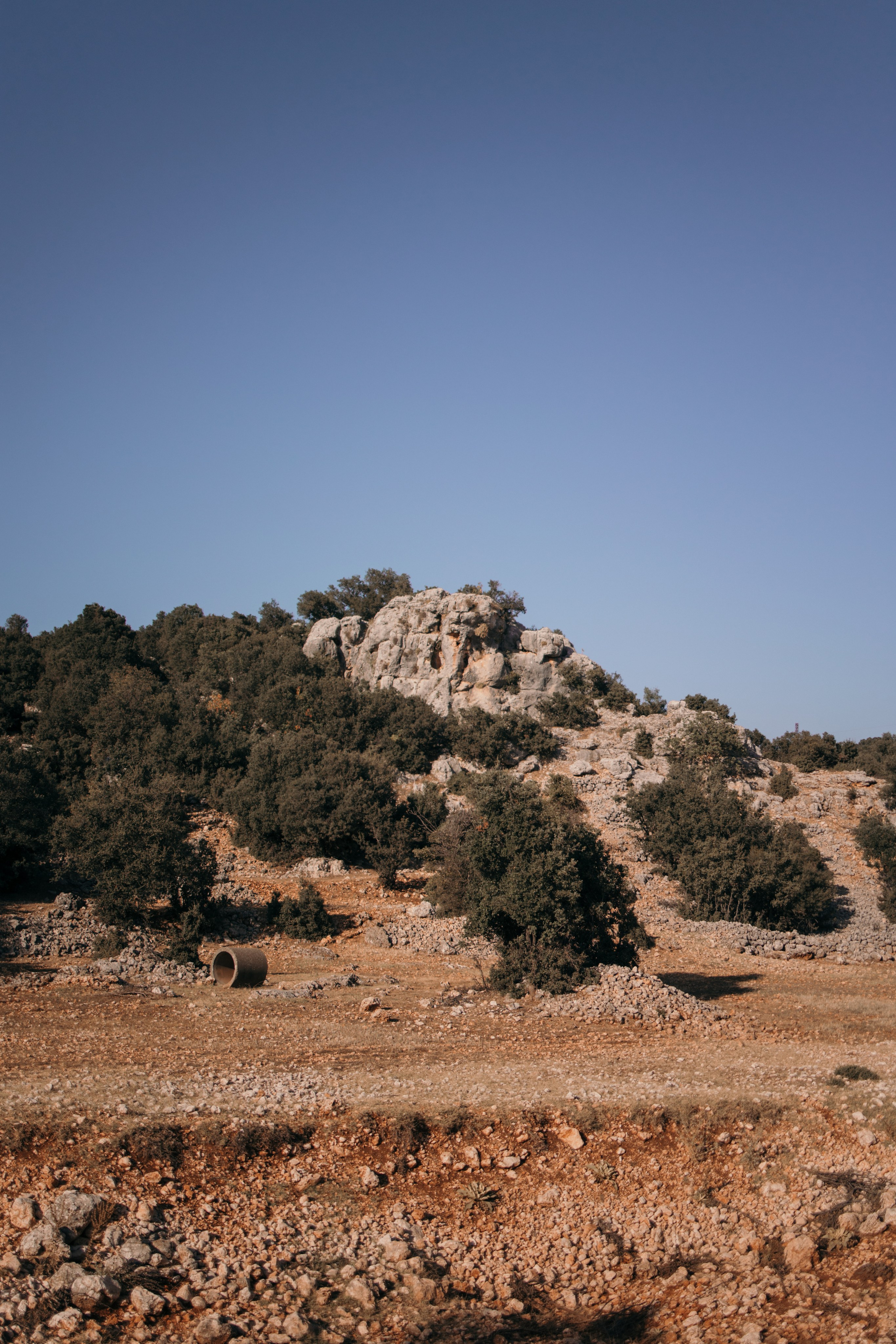 Street photo. Photographer in Turkey — Dari N