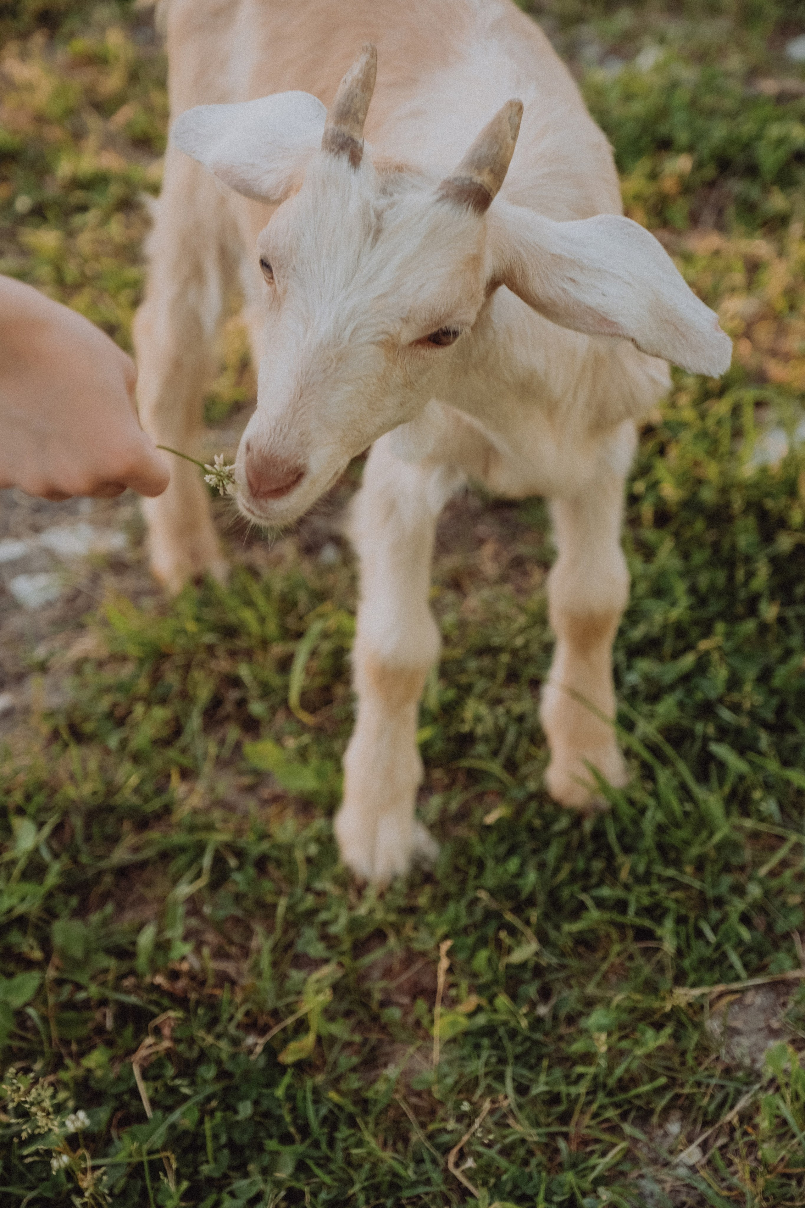 Семья Силуана. Семейный фотограф Москва