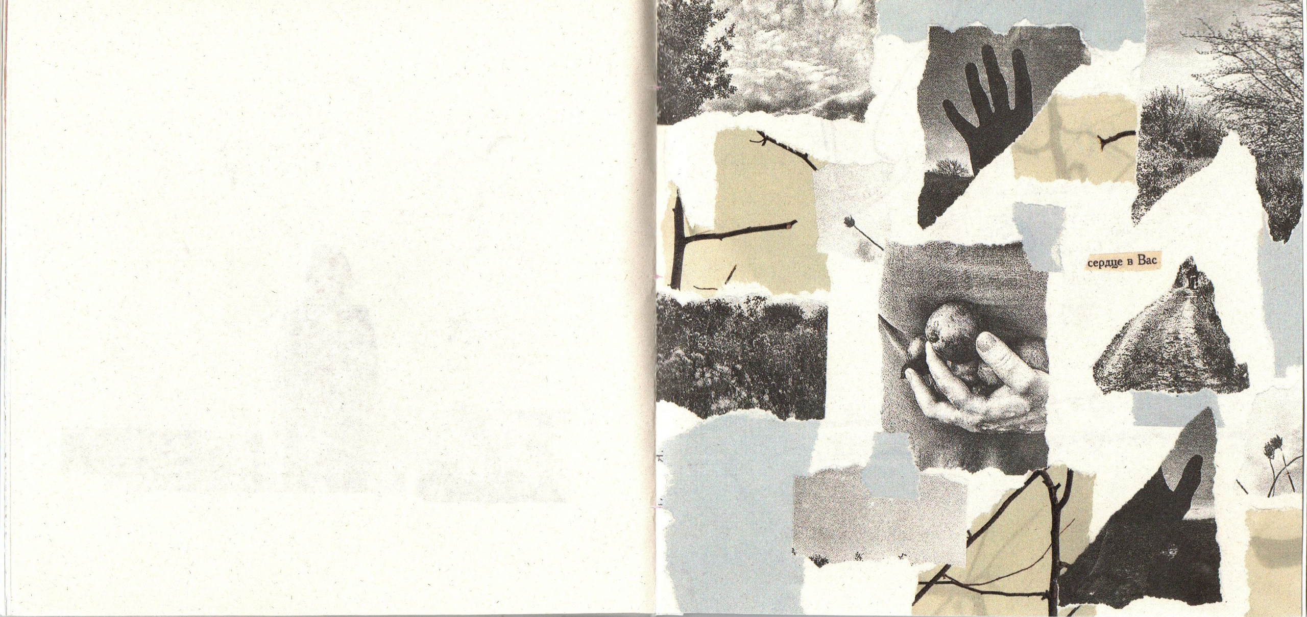 Хрупкий дом. Фотограф Анна Кирнос