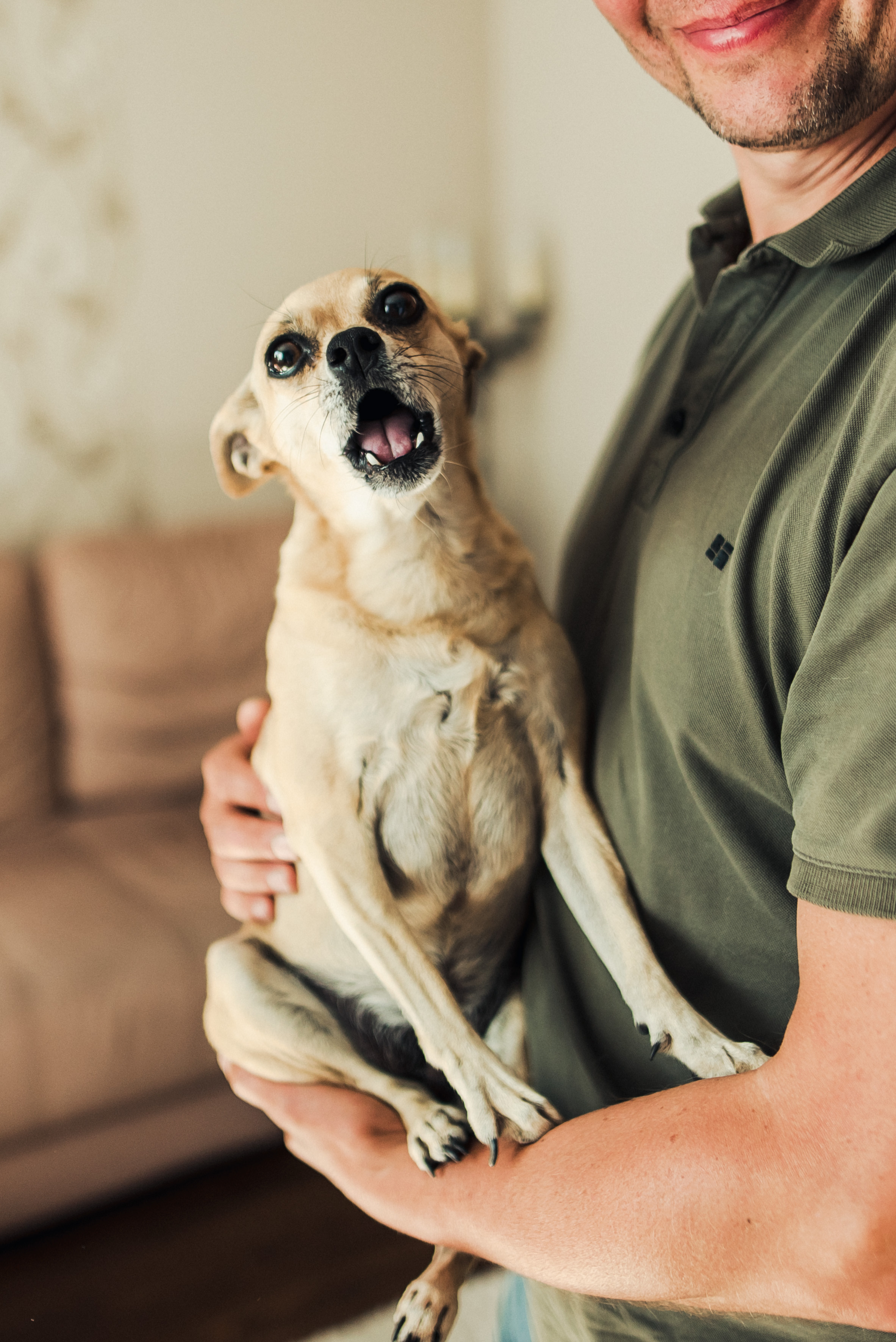 Дмитрий и Екатерина. Свадебные фотографы Nekipelov_photo